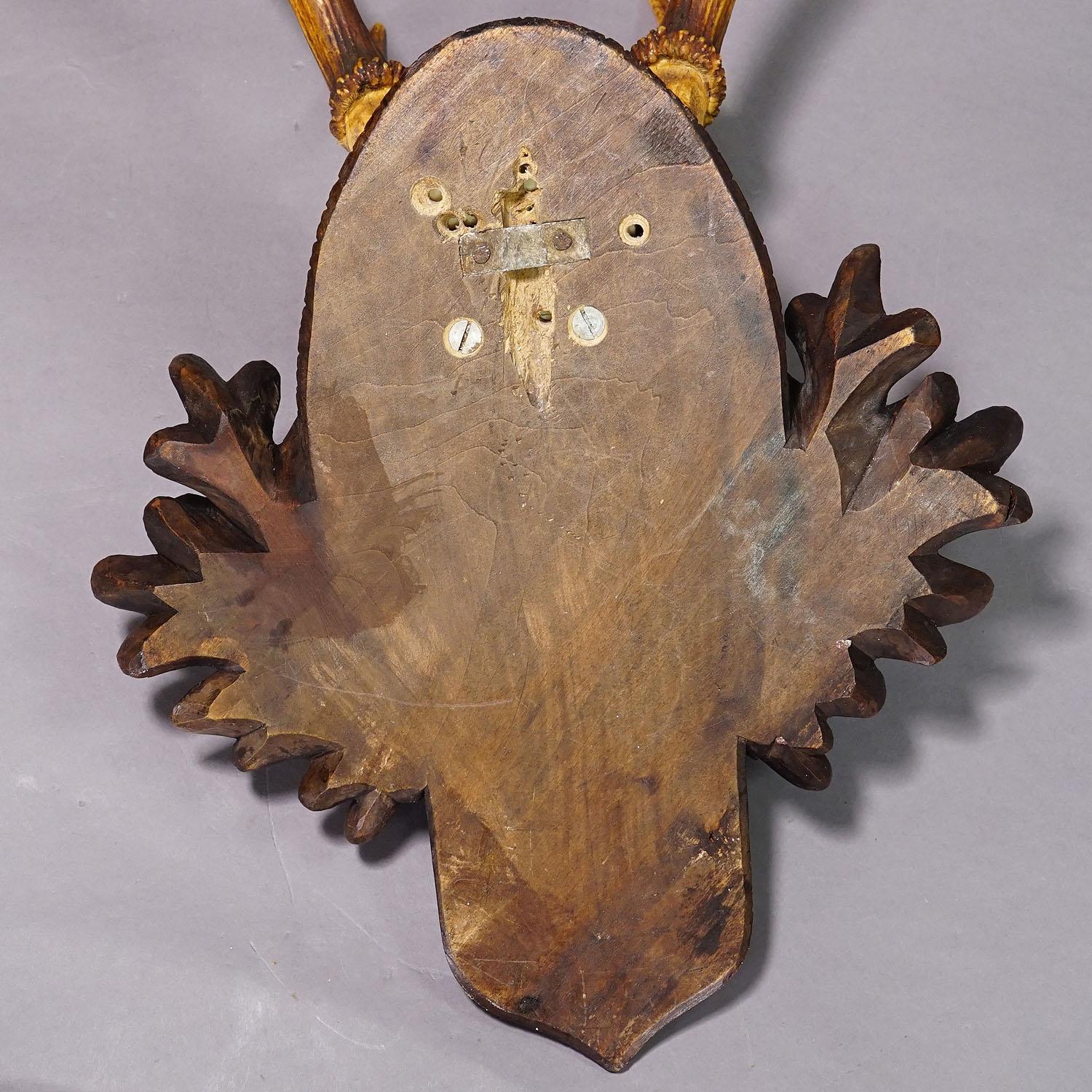 20th Century Large Six-toed Black Forest Deer Trophy on Wooden Plaque ca. 1910