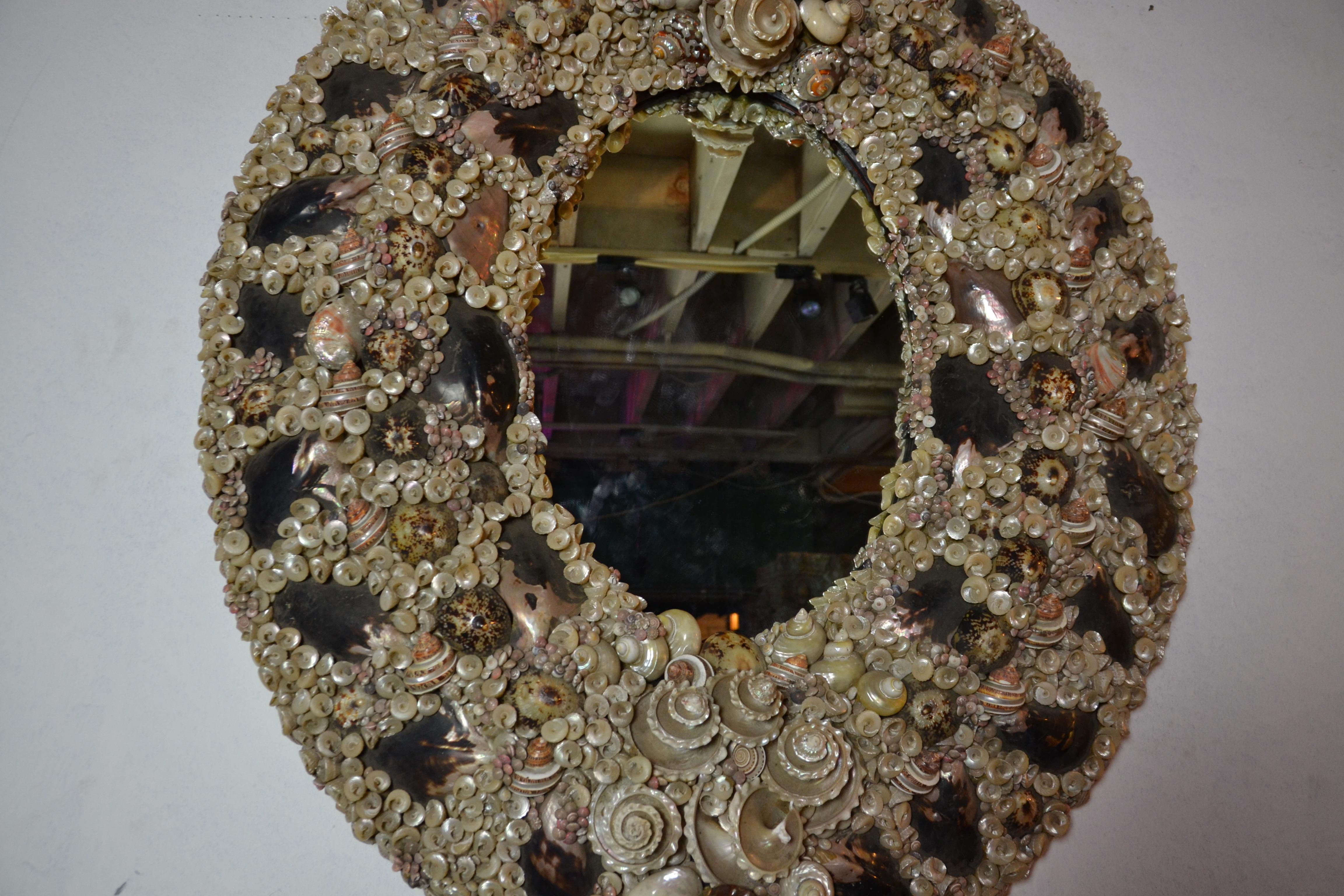 Oval shape large size wall mirror put together in an array of different shells.