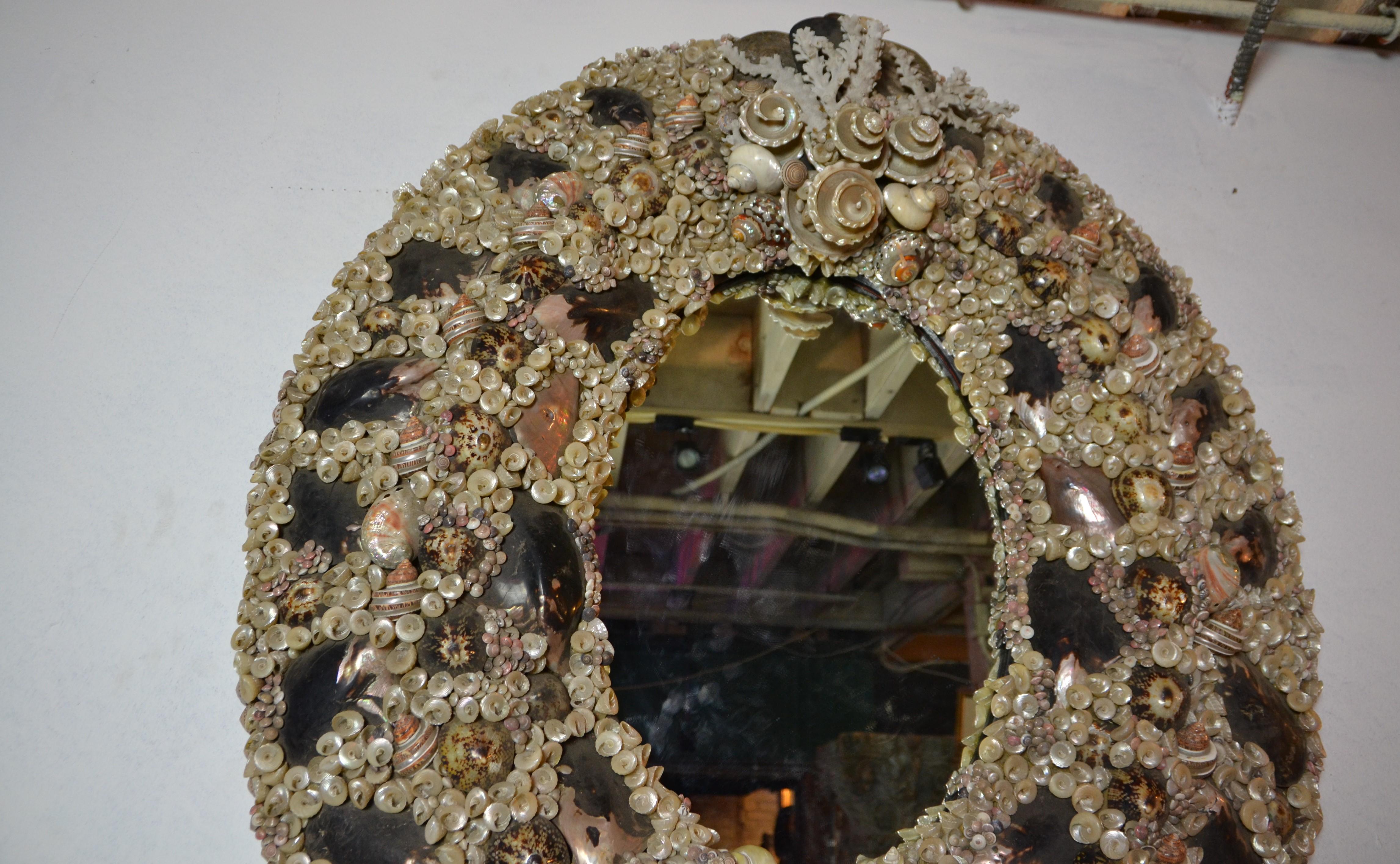 Large Size Shell Mirror 2