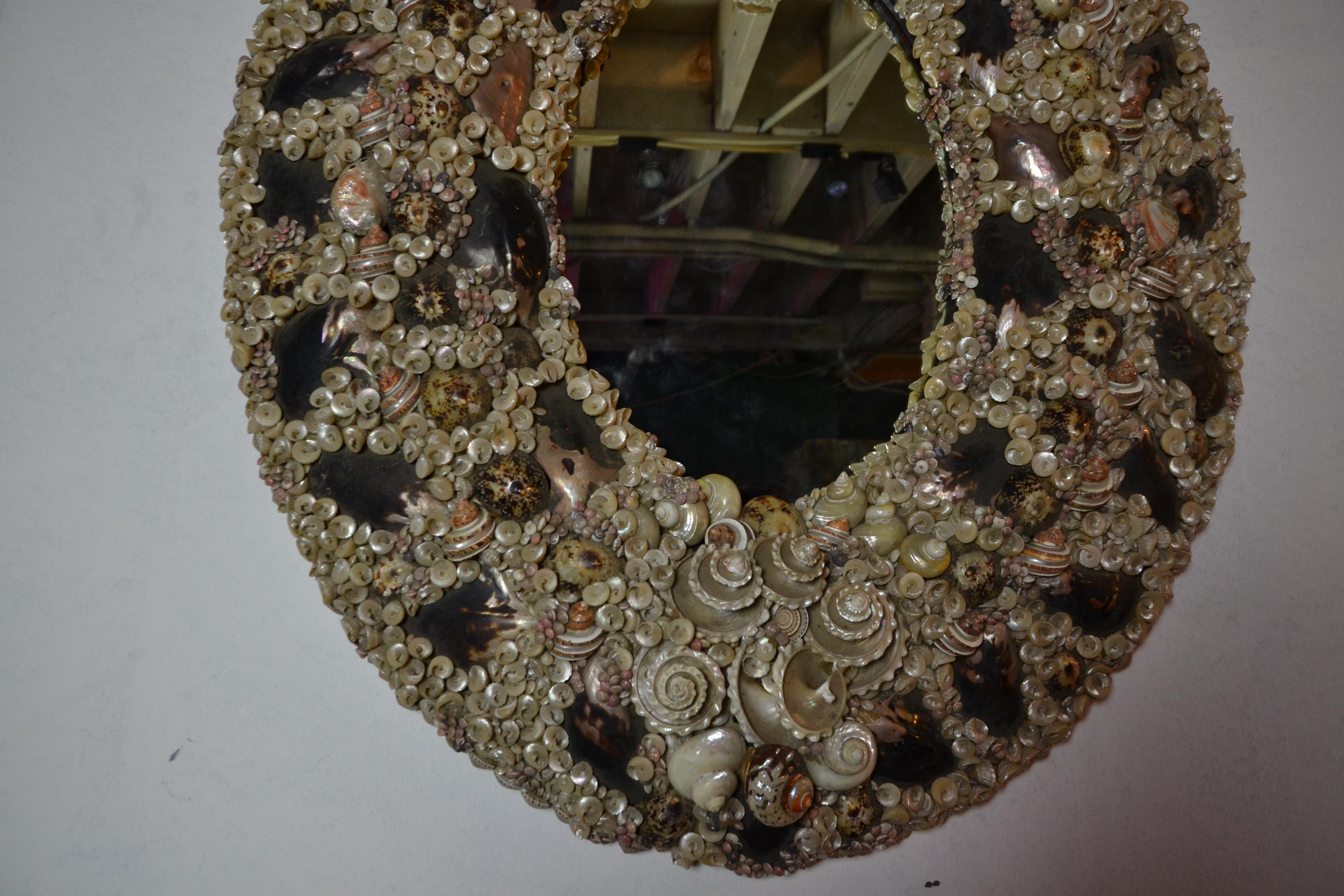 Large Size Shell Mirror 3
