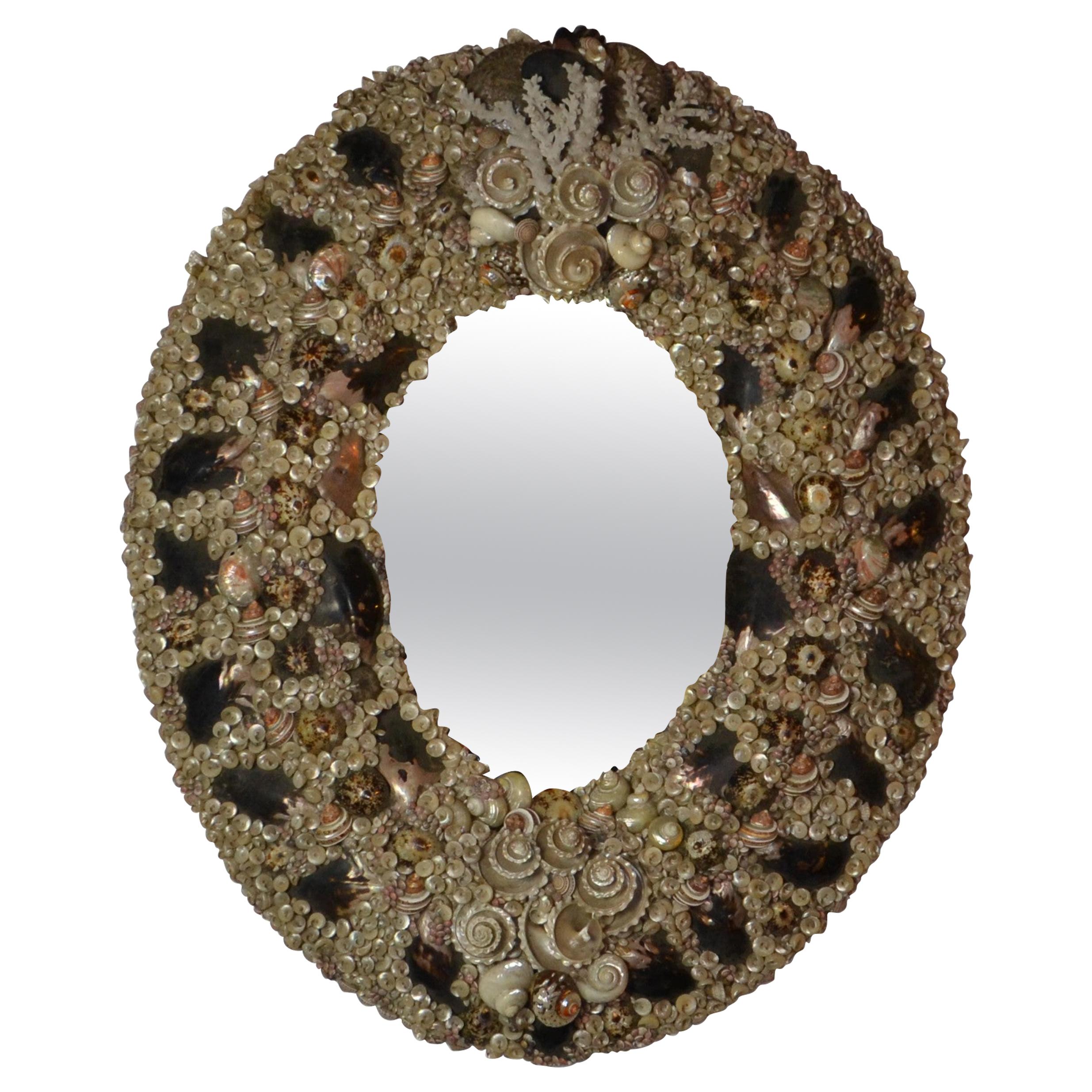 Large Size Shell Mirror