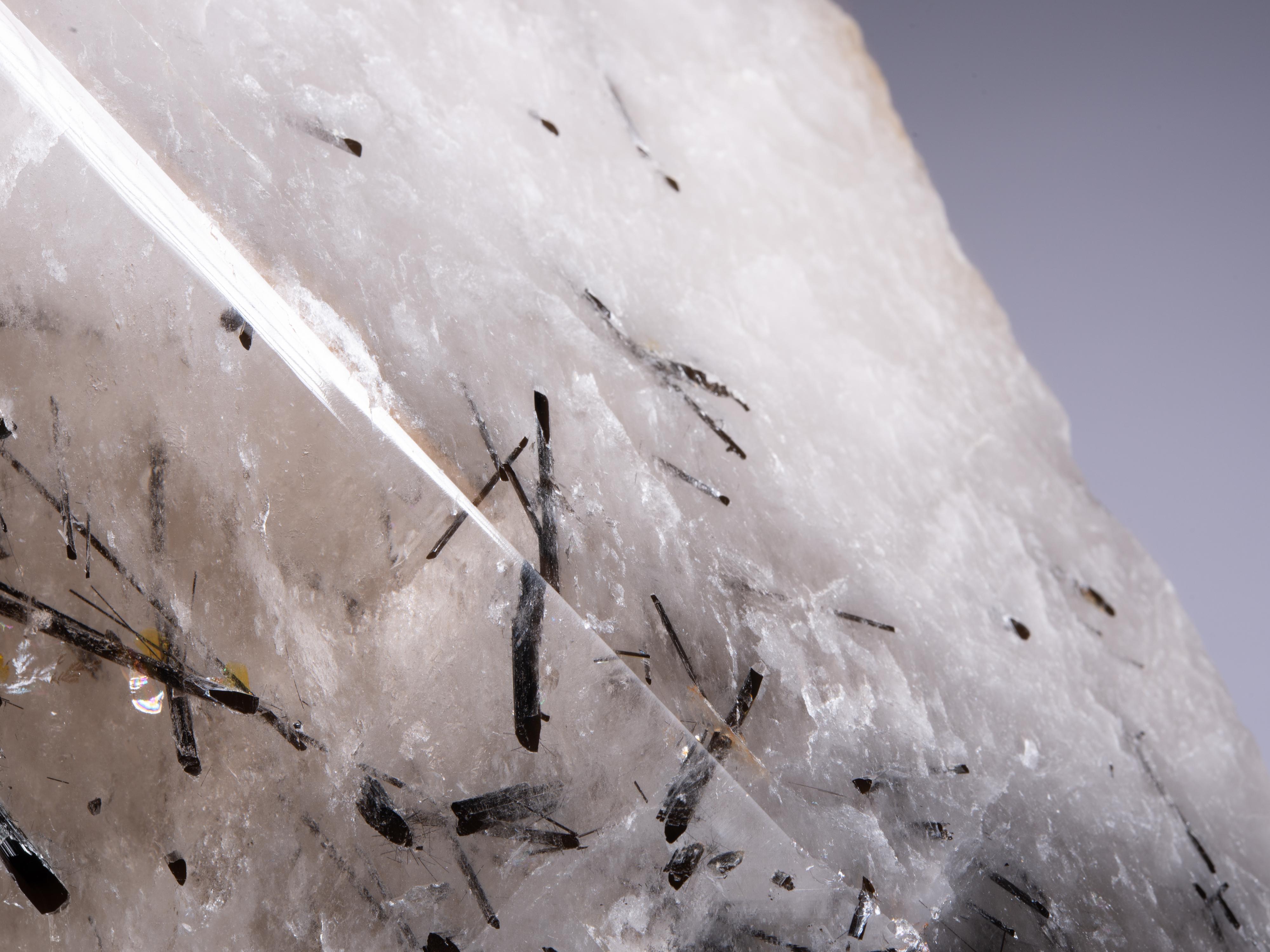 Grand cristal de quartz fumé avec tourmaline noire en vente 6