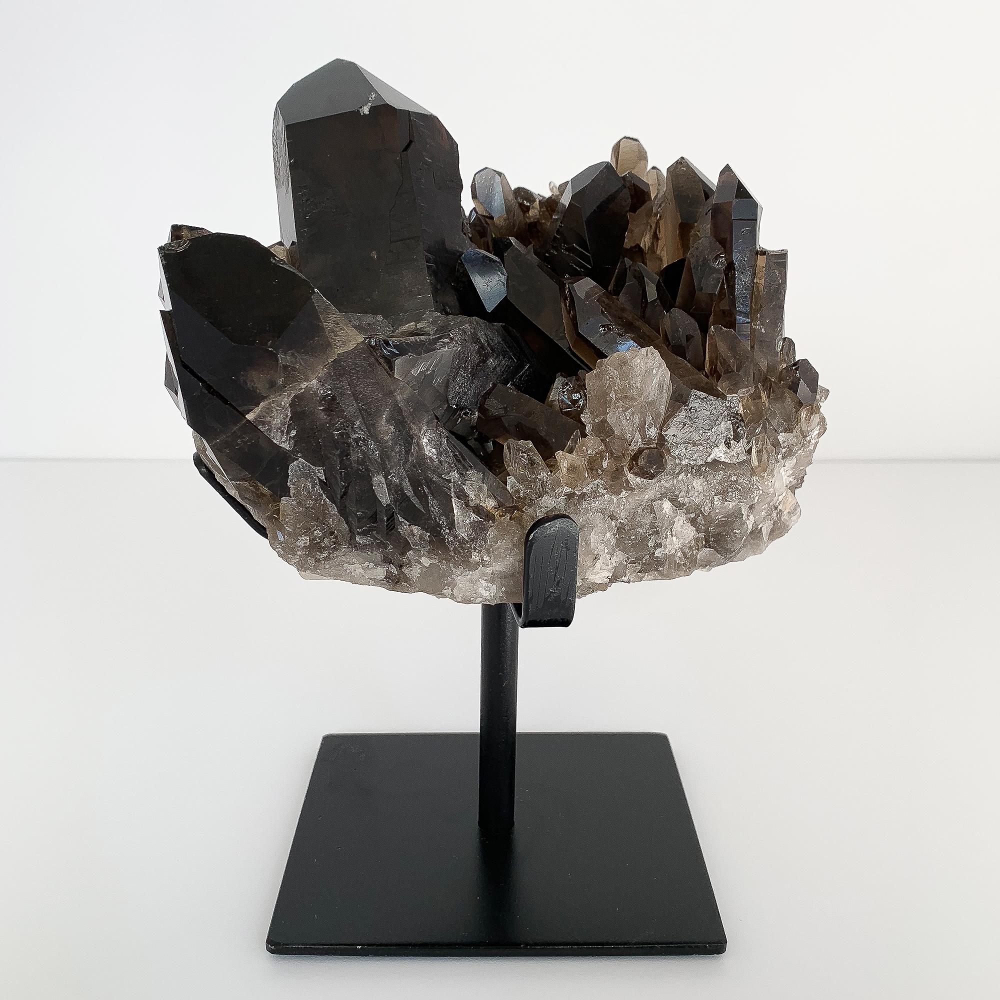 Large natural smoky quartz crystal specimen mounted to a pronged painted black metal stand. Measures: 10.5