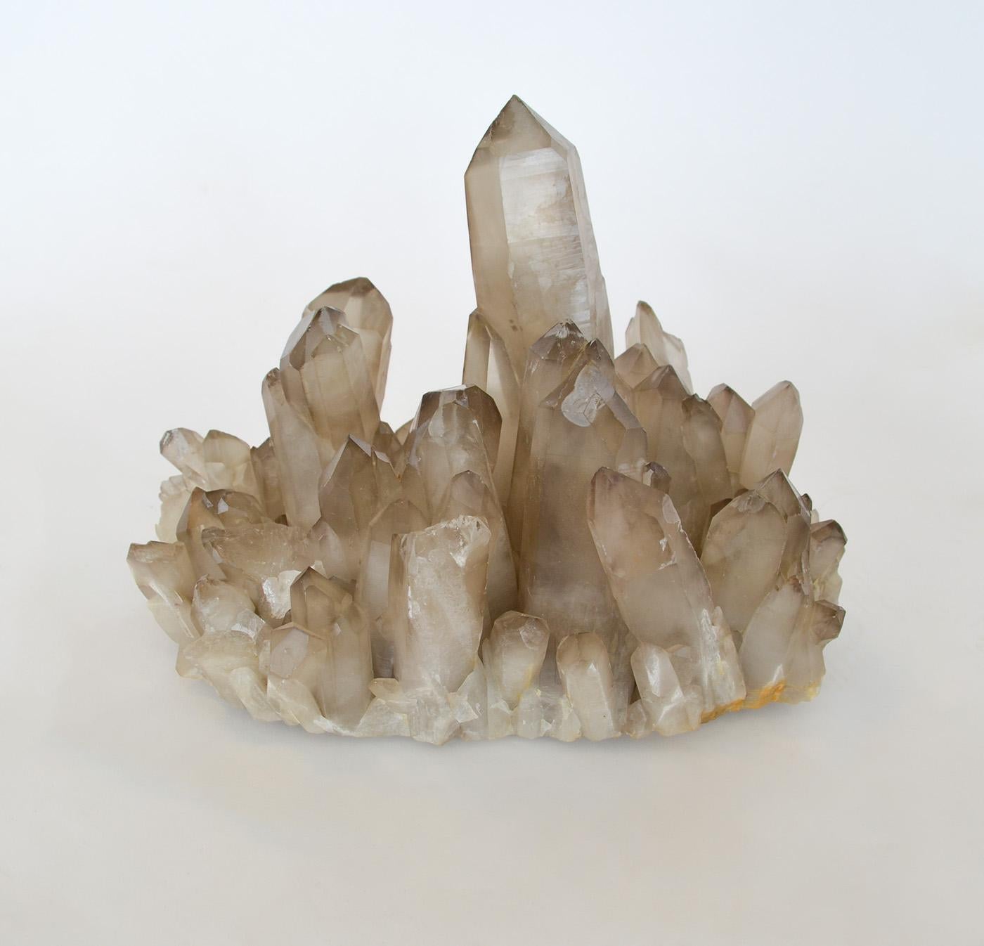 Grande cristallo di rocca di quarzo fumé Nature Specimen 13 Lbs.  
Molti spuntoni grandi e spessi. Non montato. Probabilmente proviene dal sud dell'Arkansas all'inizio del XX secolo.
Il quarzo fumé è una varietà di quarzo traslucido di colore grigio