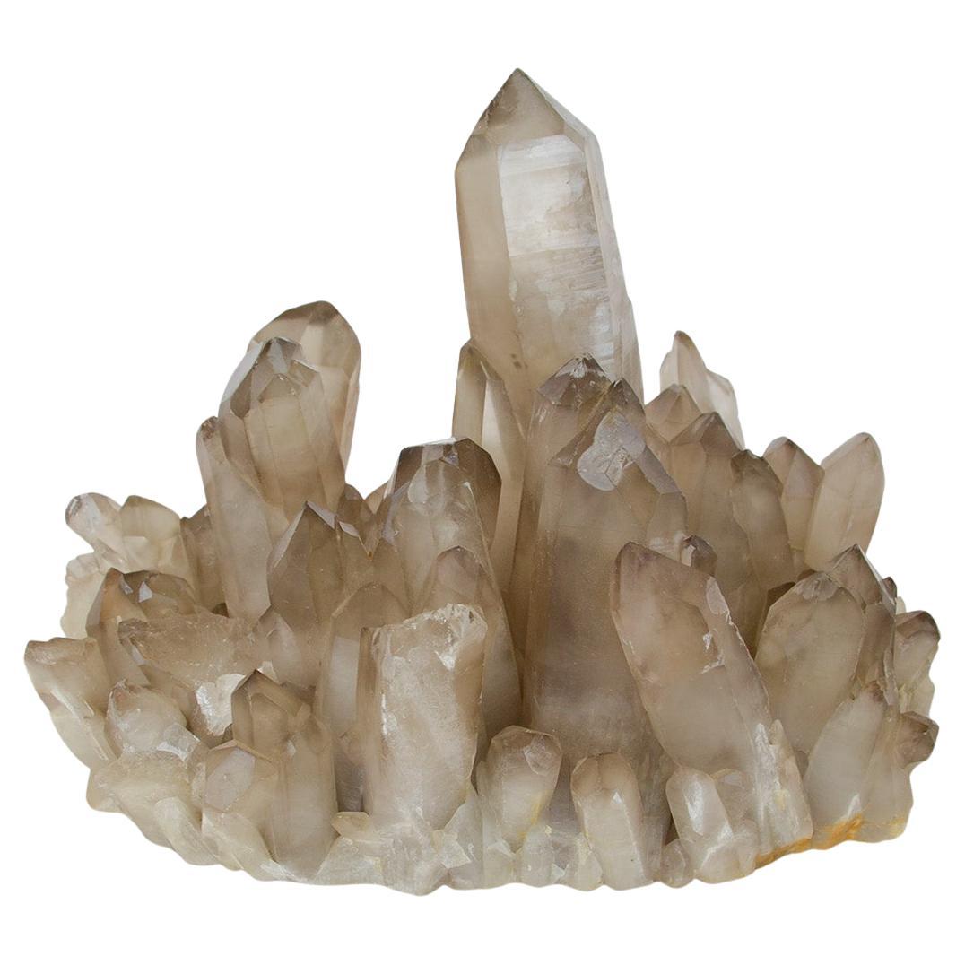 Gran Cristal de Roca de Cuarzo Ahumado Espécimen Natural 13 Lbs.