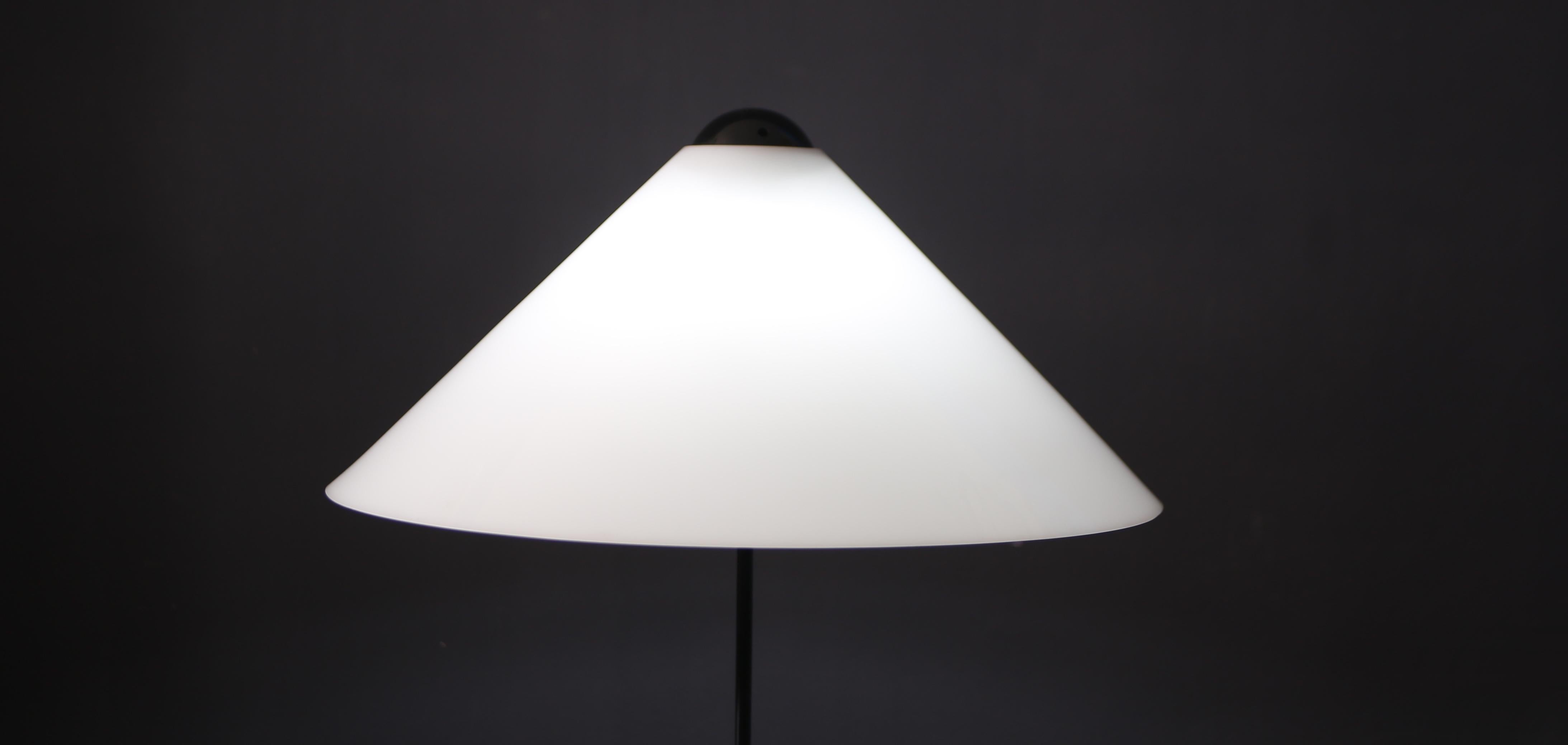 Large Snow Table lamp by Vico Magistretti for O-light 1970s For Sale 2