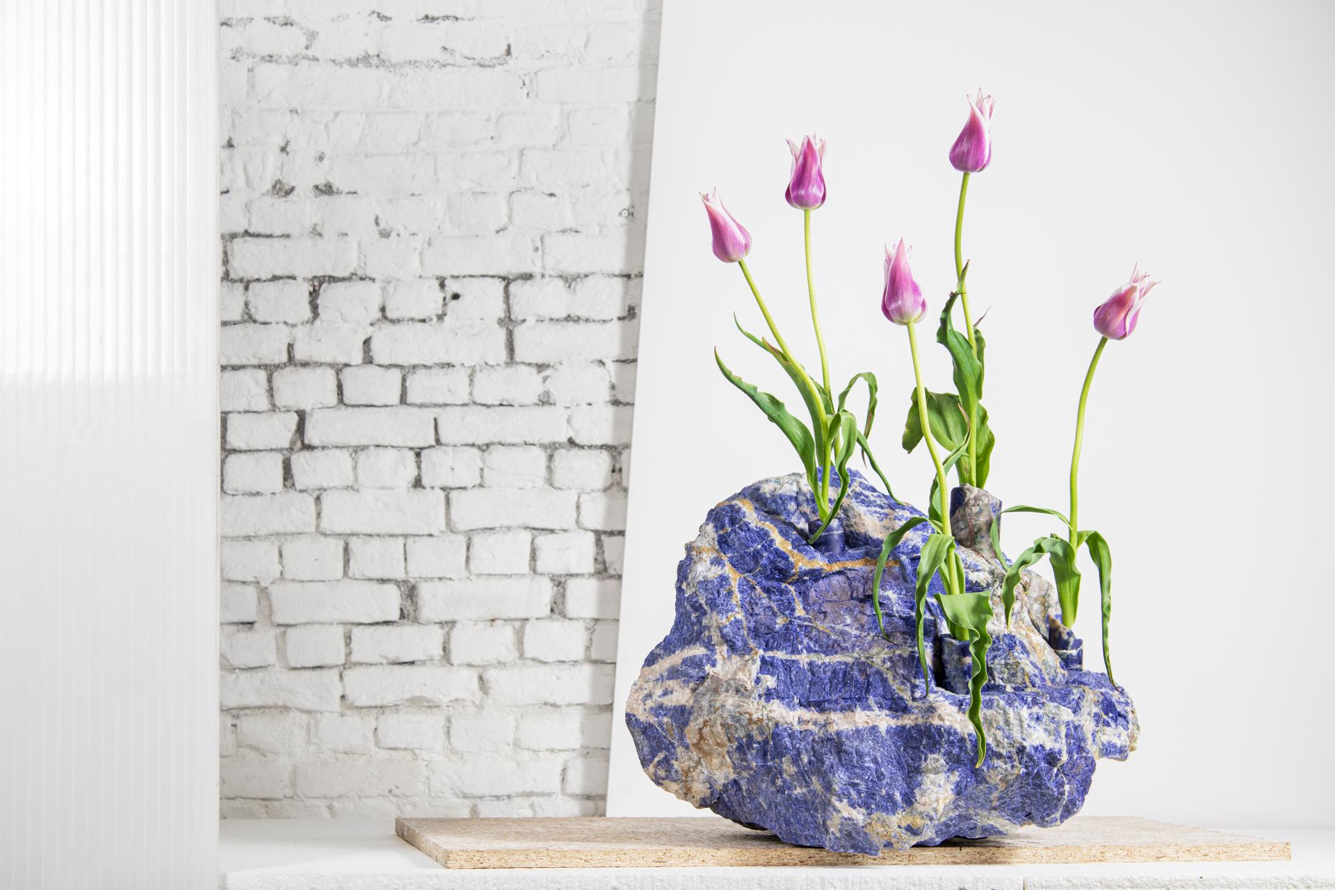 Vaso a tulipano grande in sodalite di Studio A
Dimensioni: D 55 x L 36 x H 41 cm
Materiali: Steele, acciaio inossidabile.
109 kg.

I fiori sono intrinsecamente legati alla composizione e alla terra.
Influenzata da vari vasi dal passato al presente,