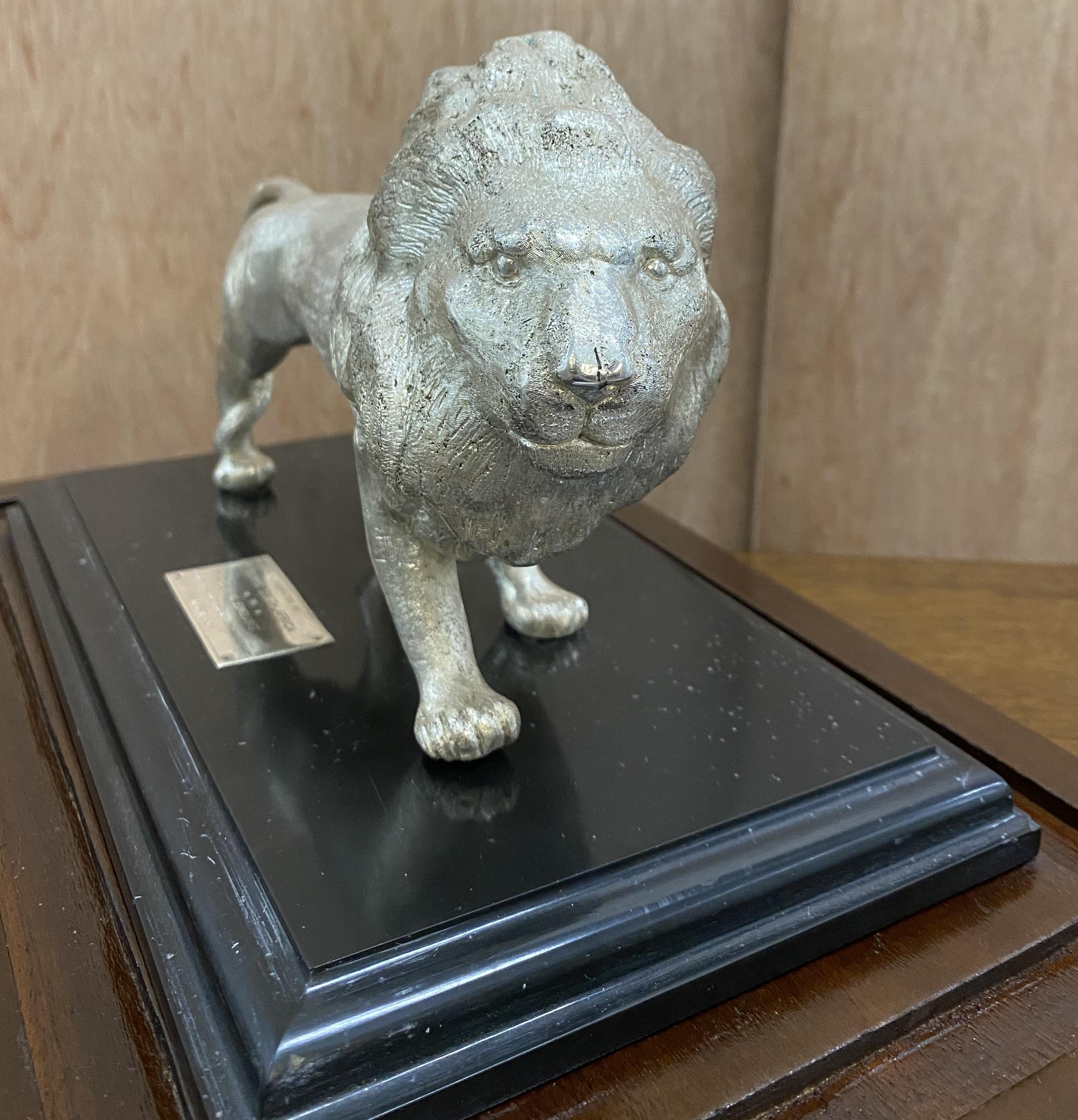 Large Solid Sterling Silver 925 African Lion with Marble Base and Display Case 4