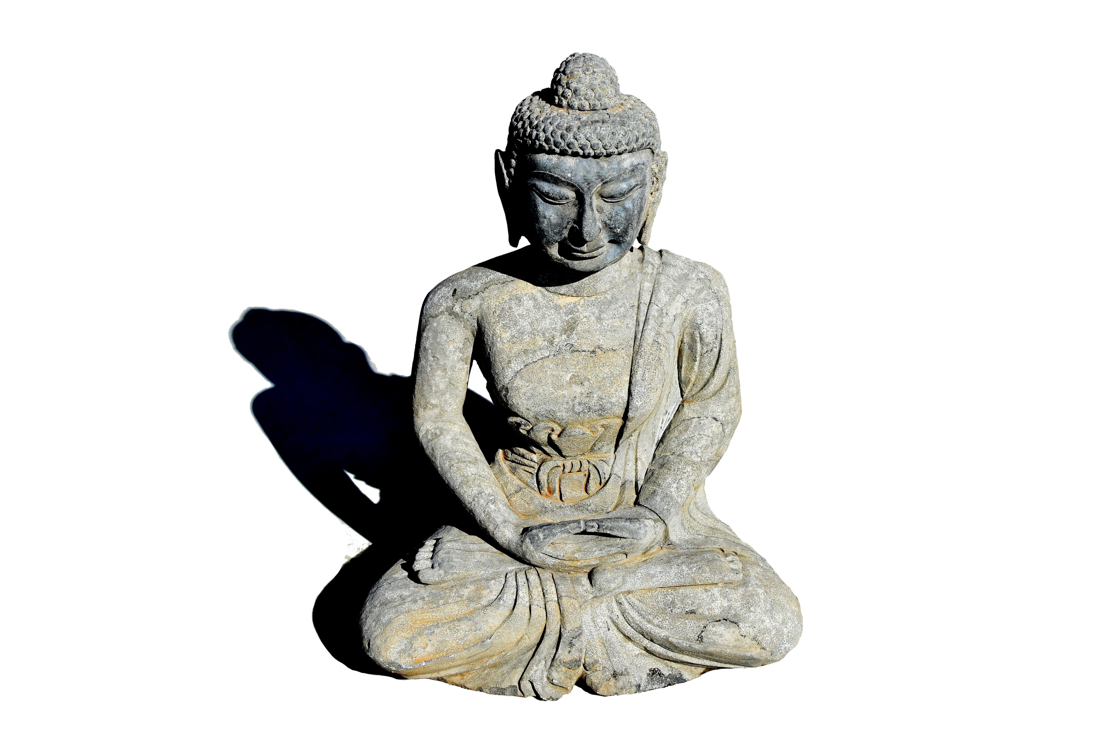 A large hand carved solid stone Buddha statue seated in dhyana position. The broad face with high arched eyebrows and downcast eyes casting a serene aura, framed by long-lobed ears and beneath a pronounced hairline and surmounted by an ushnisha.