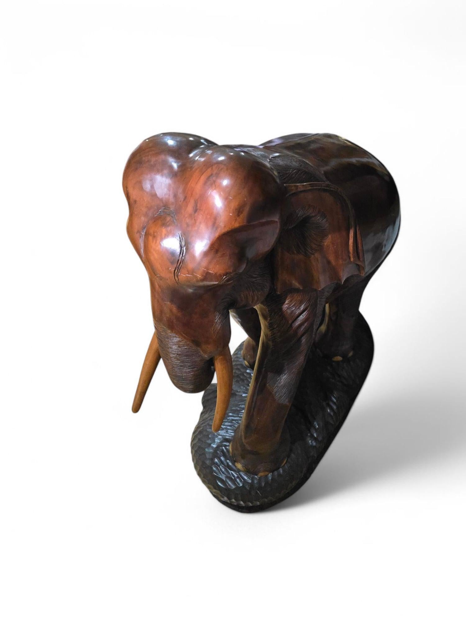 Legno di alberi da frutto Elefante grande in Wood - anni '50  120 cm in vendita