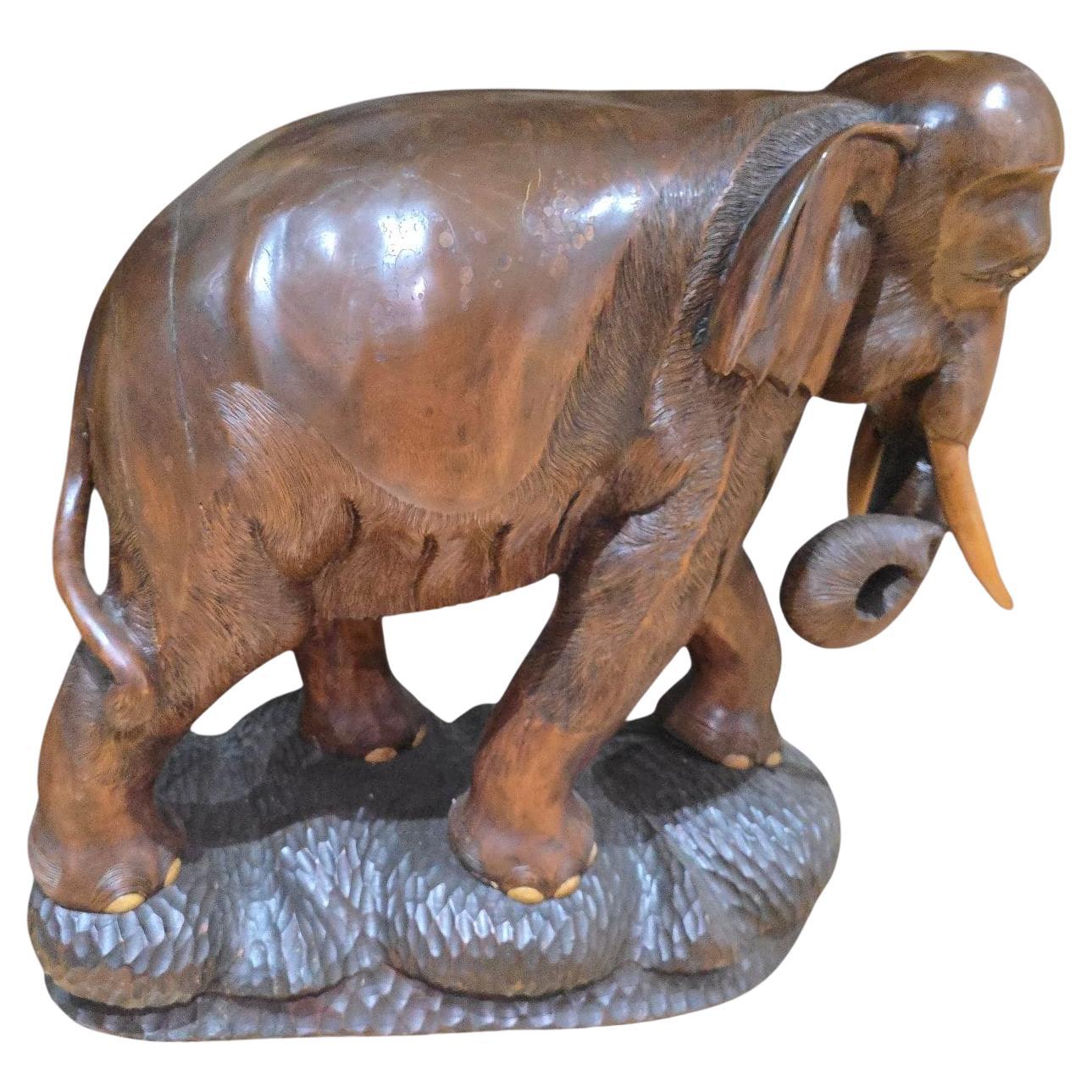 Elefante grande in Wood - anni '50  120 cm