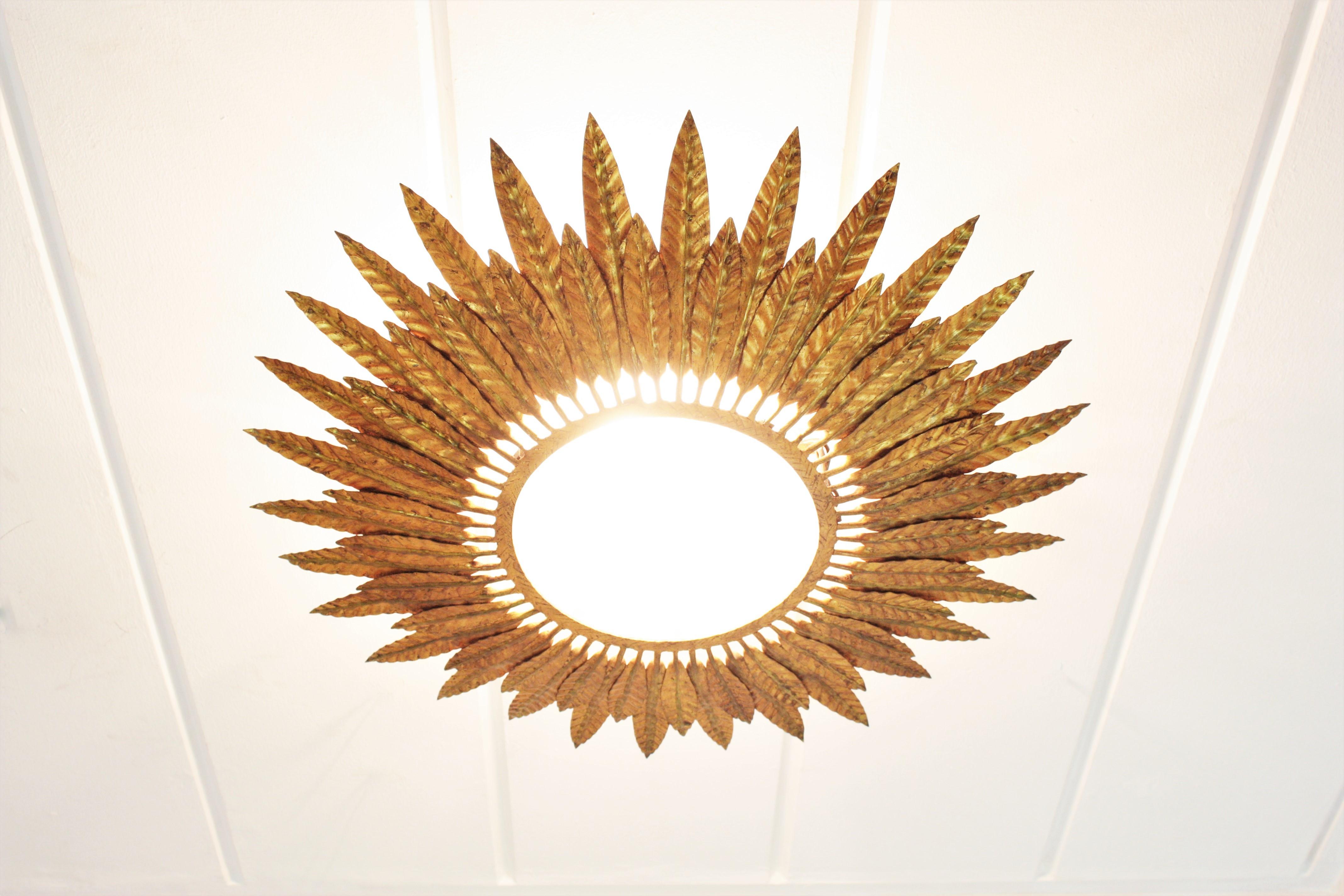 Gilt Iron Sunburst Leafed Light Fixture with Frosted Glass, Spain, 1950s For Sale 4