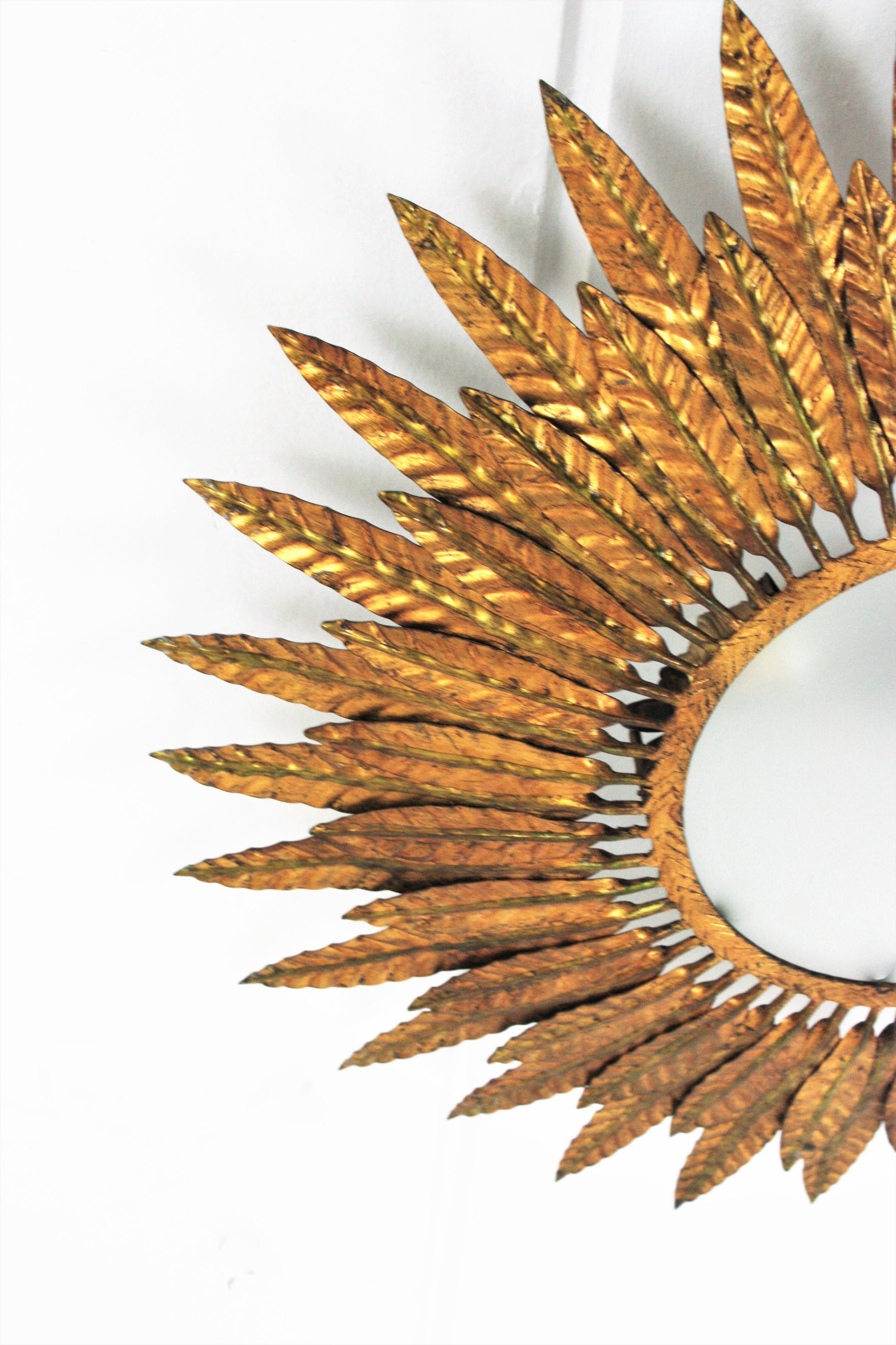 Gilt Iron Sunburst Leafed Light Fixture with Frosted Glass, Spain, 1950s For Sale 5