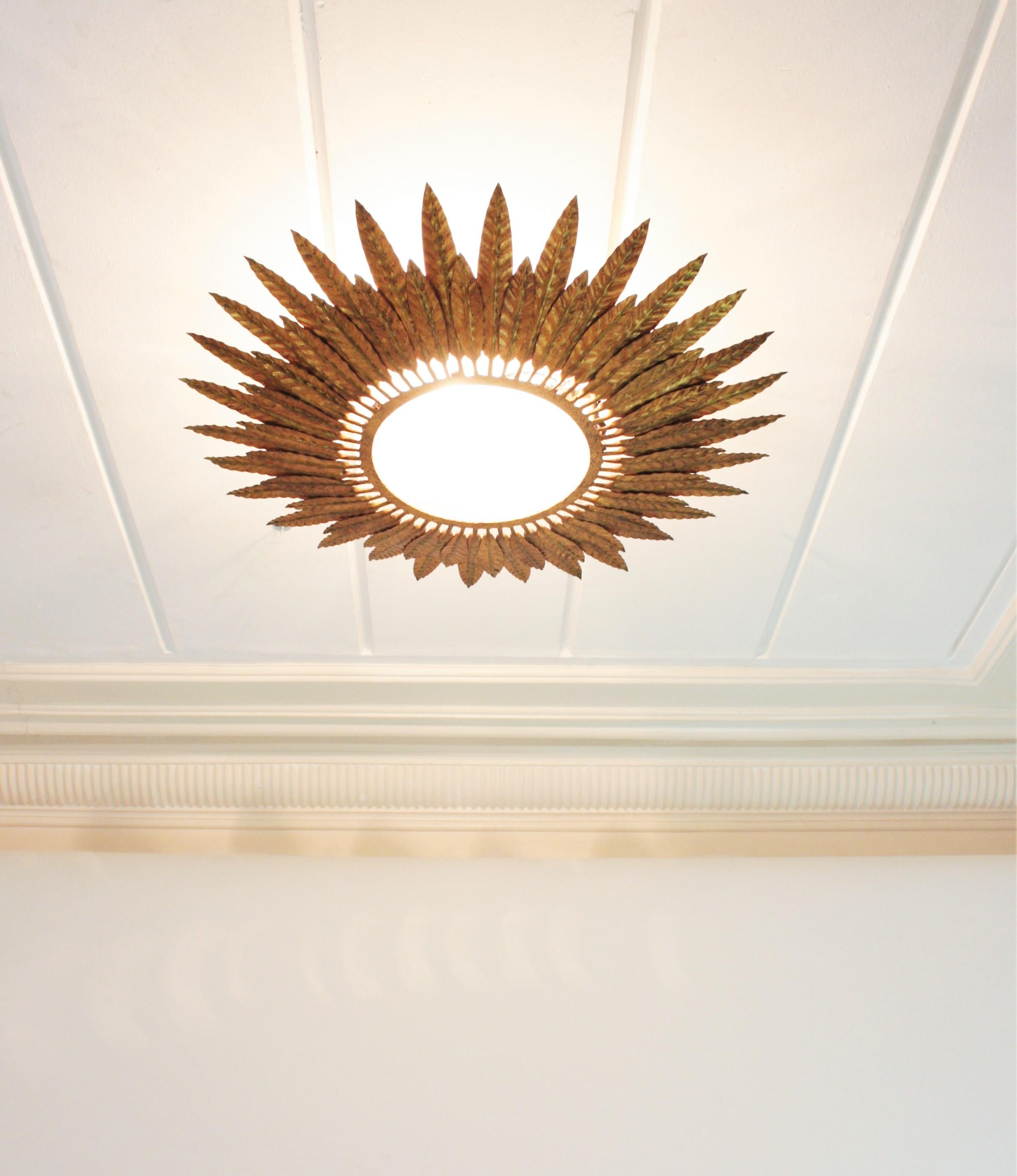 Spanish Gilt Iron Sunburst Leafed Light Fixture with Frosted Glass, Spain, 1950s For Sale