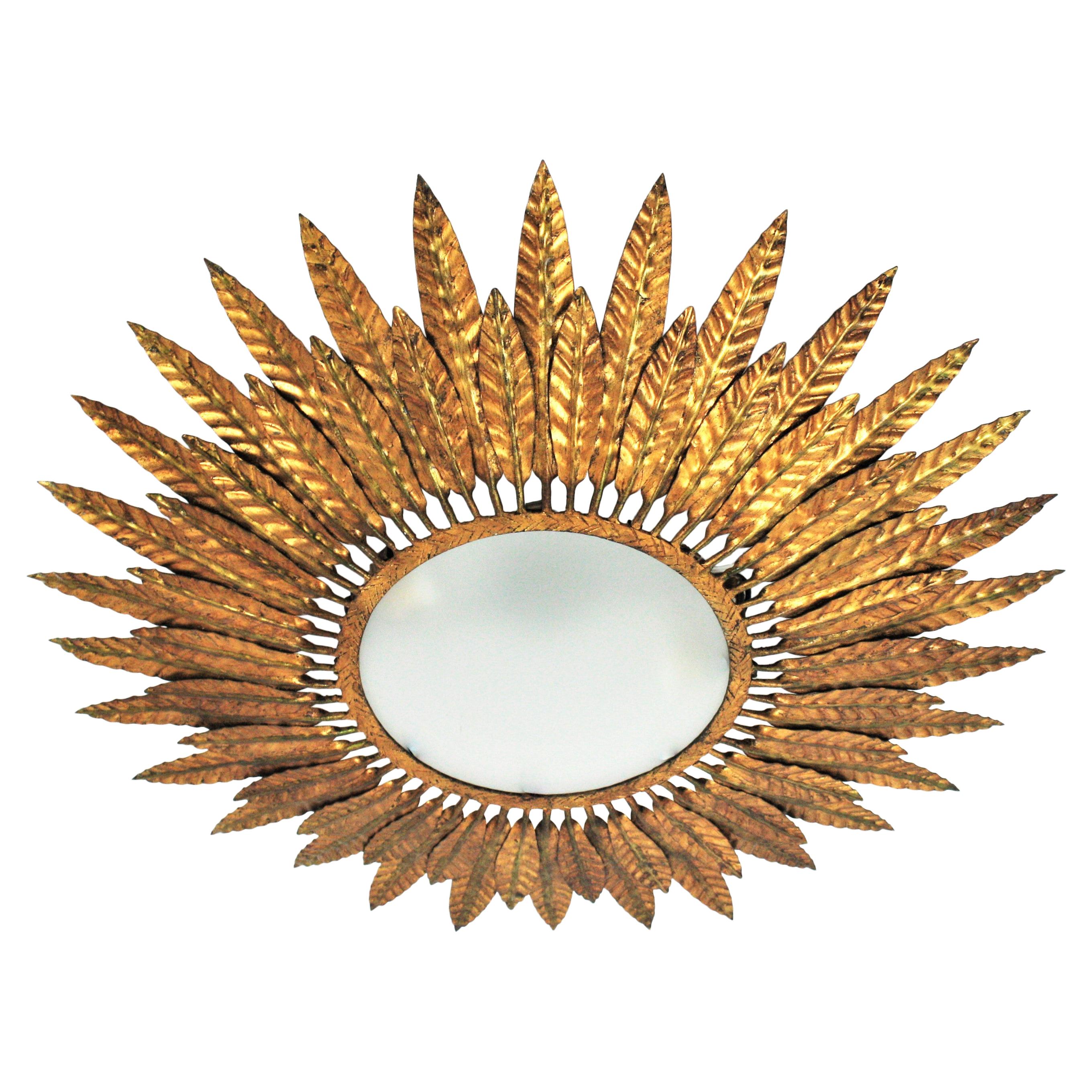 Gilt Iron Sunburst Leafed Light Fixture with Frosted Glass, Spain, 1950s