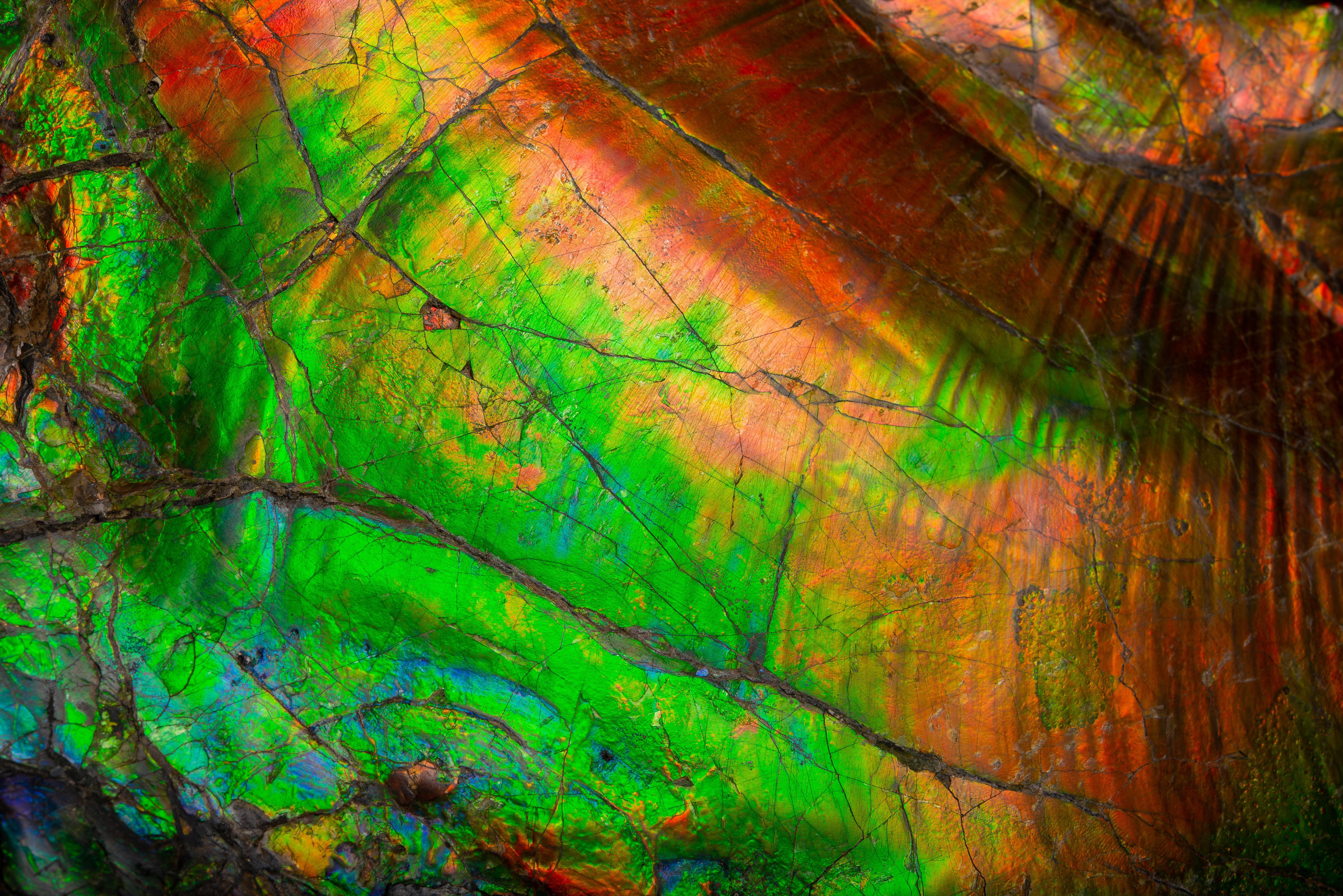 Großes spektakuläres schillerndes Ammonit- Fossil 4