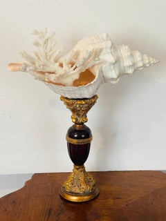 Large Spiral Sea Shell with Coral Branch on a Pricket Stand