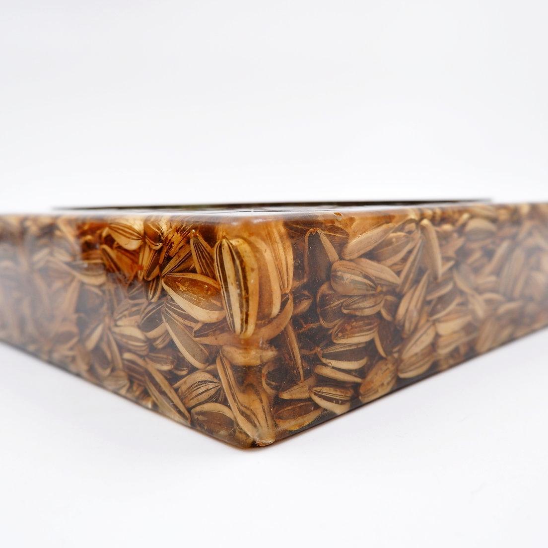 Laiton Grand vide poche carré en laiton et époxy avec inclusion de graines en vente