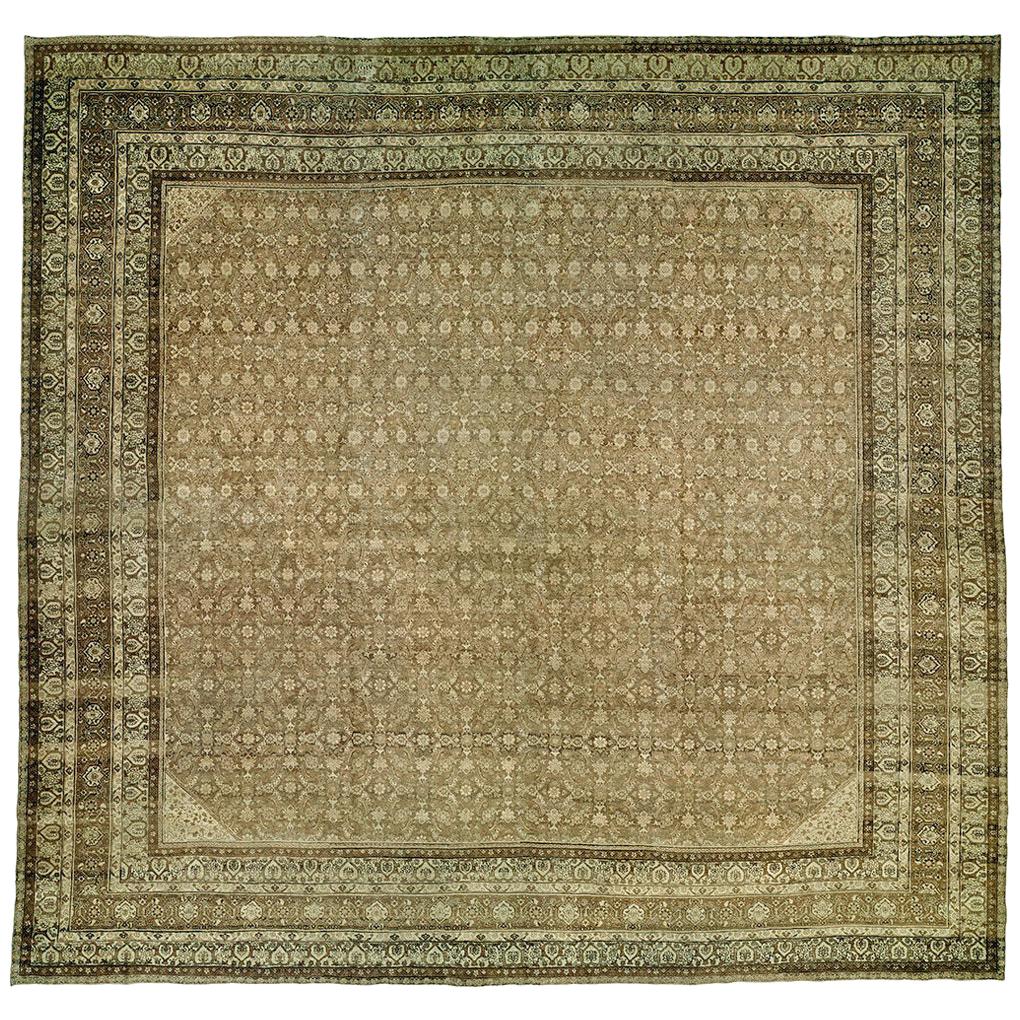 Grand tapis carré persan Tabriz Brown du 20e siècle