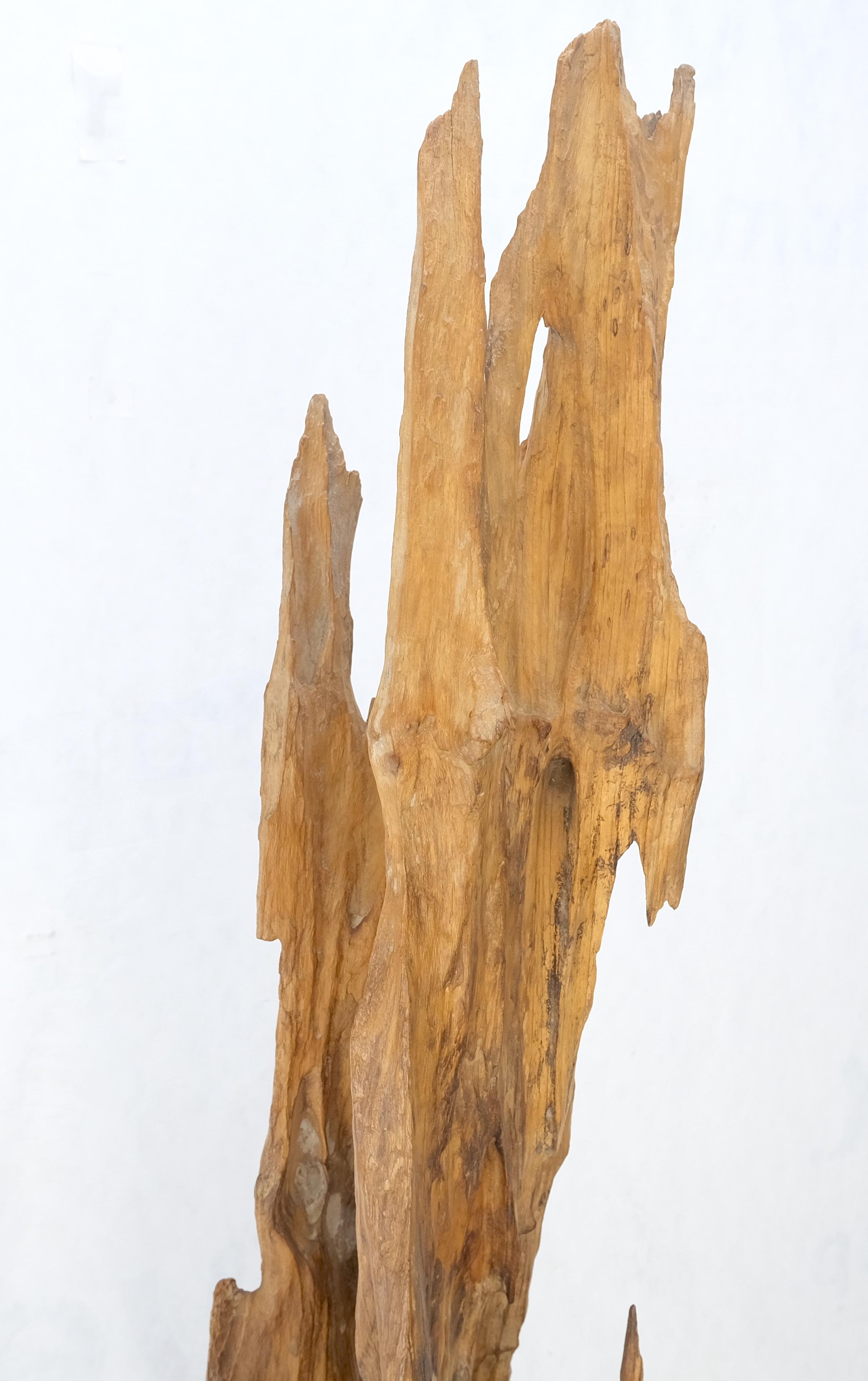 Große abstrakte Ständer 6,5' hohe Treibholz-Skulptur auf Holzblocksockel MINT! (Moderne der Mitte des Jahrhunderts) im Angebot