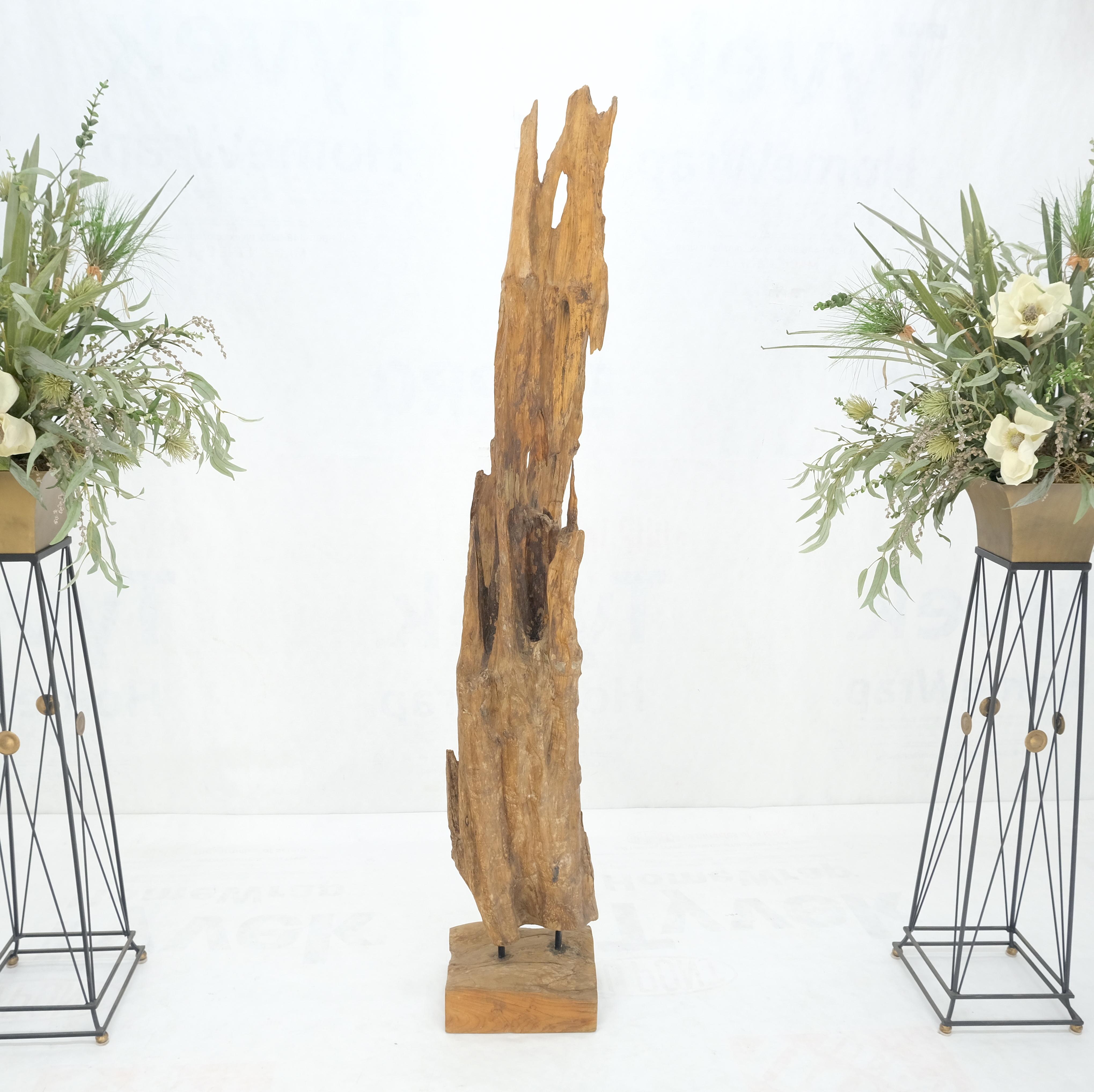 Mid-Century Modern Large Standing 6.5' Tall Abstract Driftwood Sculpture on Wooden Block Base MINT! For Sale