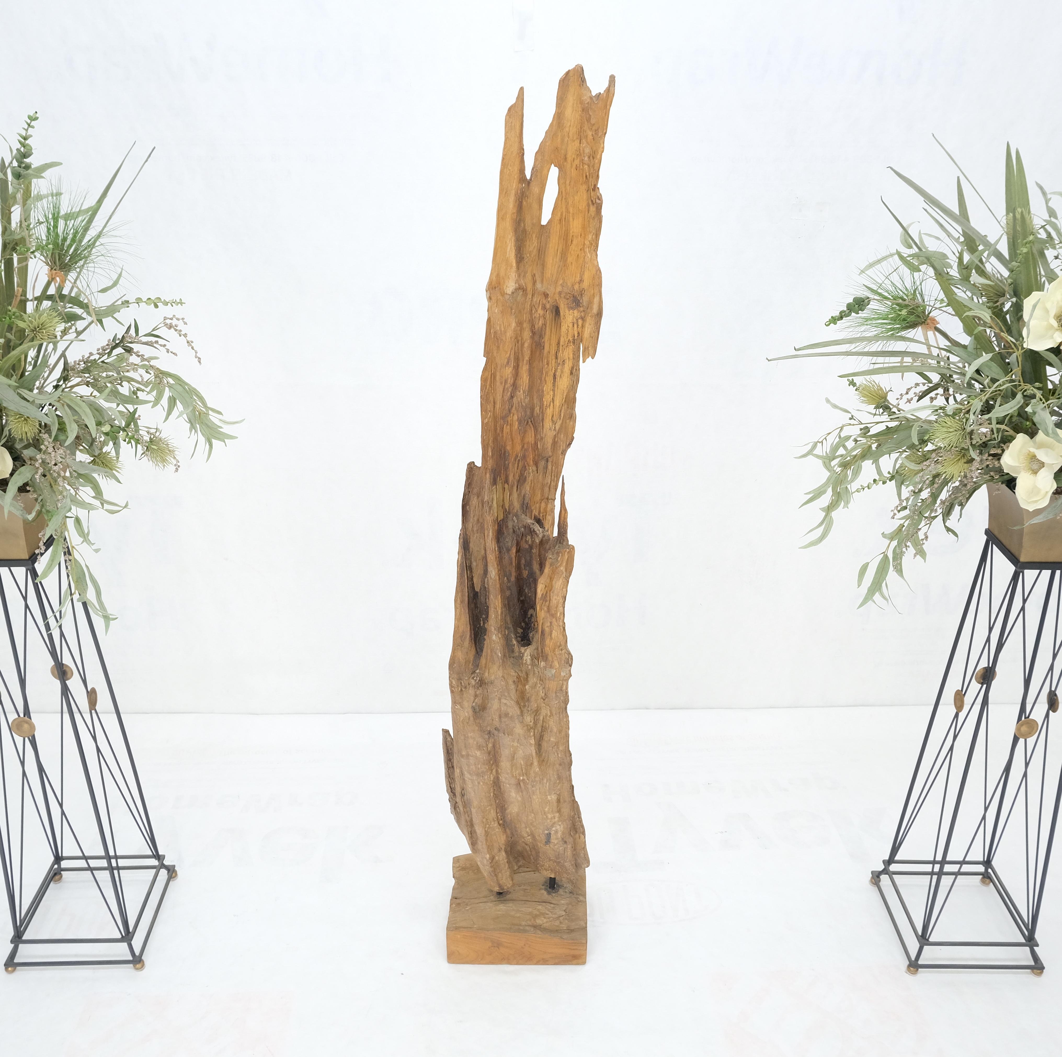 Unknown Large Standing 6.5' Tall Abstract Driftwood Sculpture on Wooden Block Base MINT! For Sale