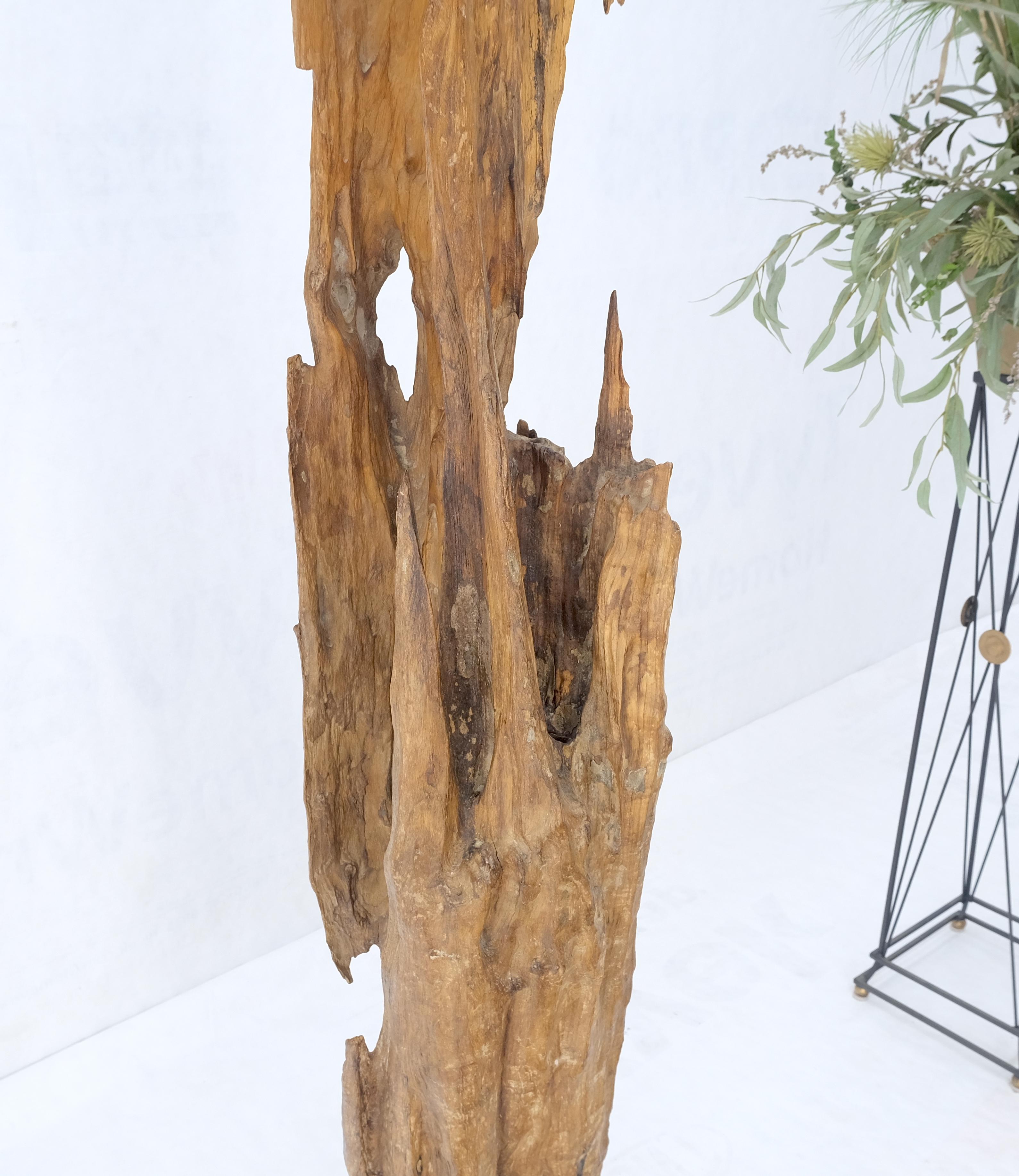Large Standing 6.5' Tall Abstract Driftwood Sculpture on Wooden Block Base MINT! In Excellent Condition For Sale In Rockaway, NJ