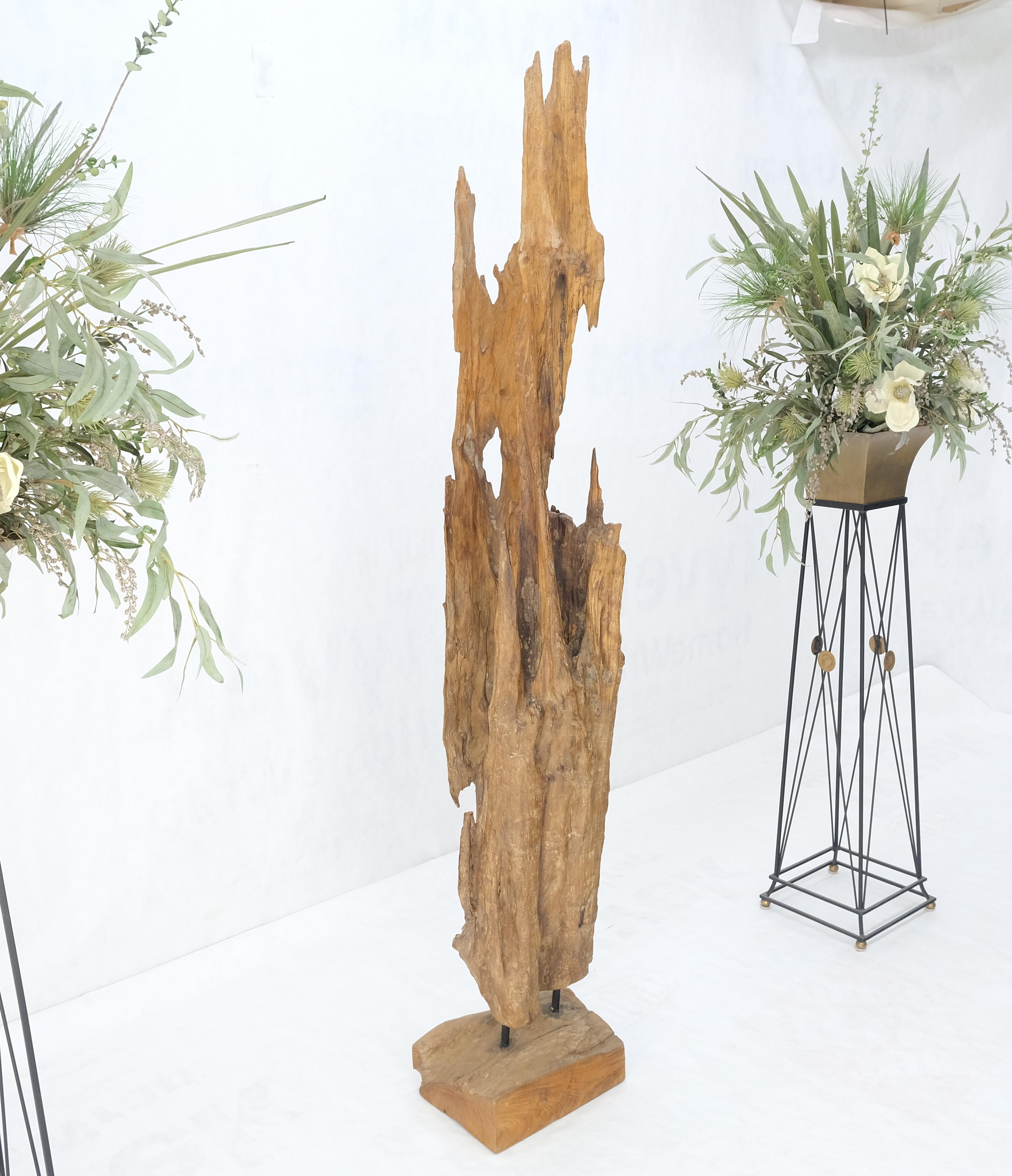 20th Century Large Standing 6.5' Tall Abstract Driftwood Sculpture on Wooden Block Base MINT! For Sale