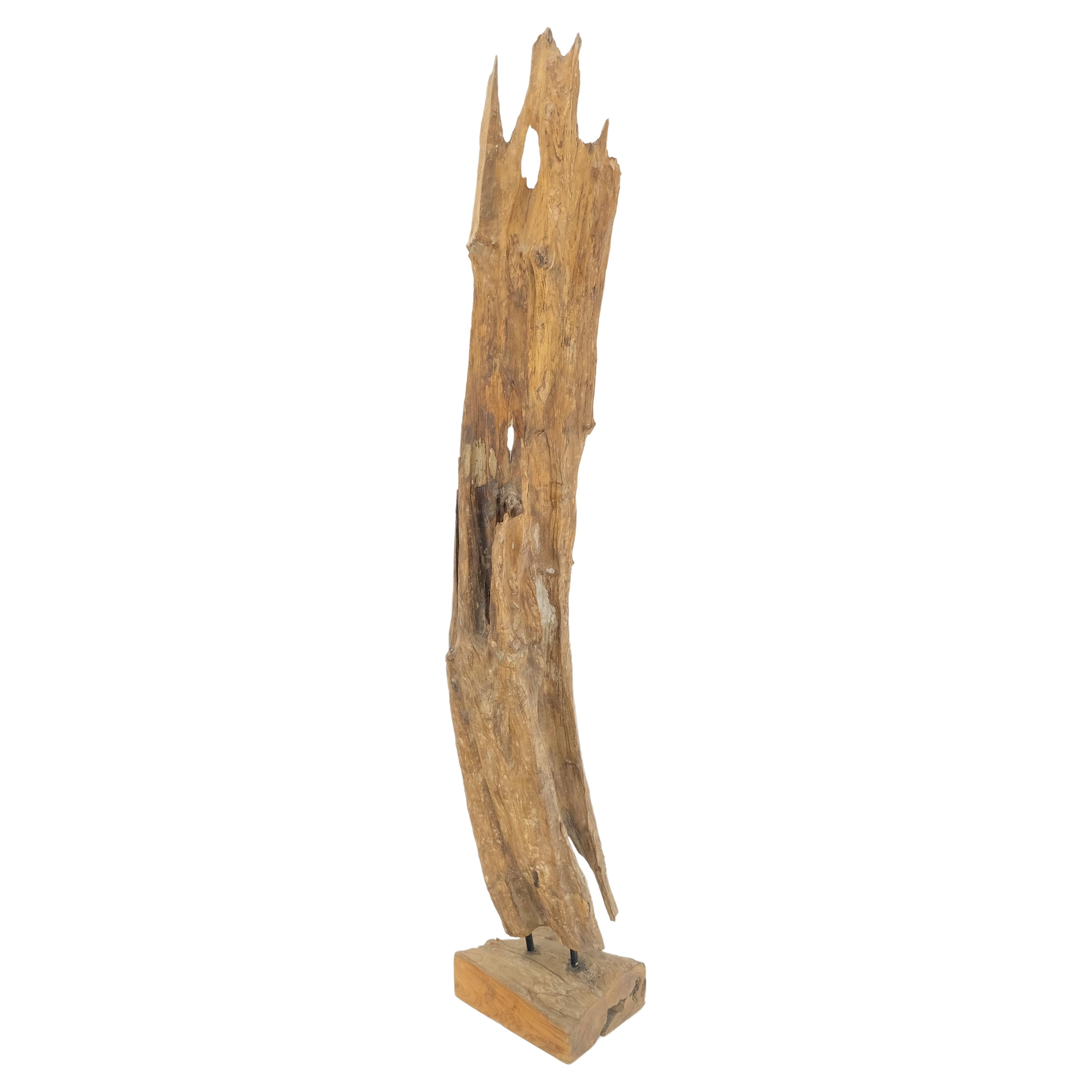 Large Standing 6.5' Tall Abstract Driftwood Sculpture on Wooden Block Base MINT! For Sale