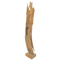 Large Standing 6.5' Tall Abstract Driftwood Sculpture on Wooden Block Base MINT!