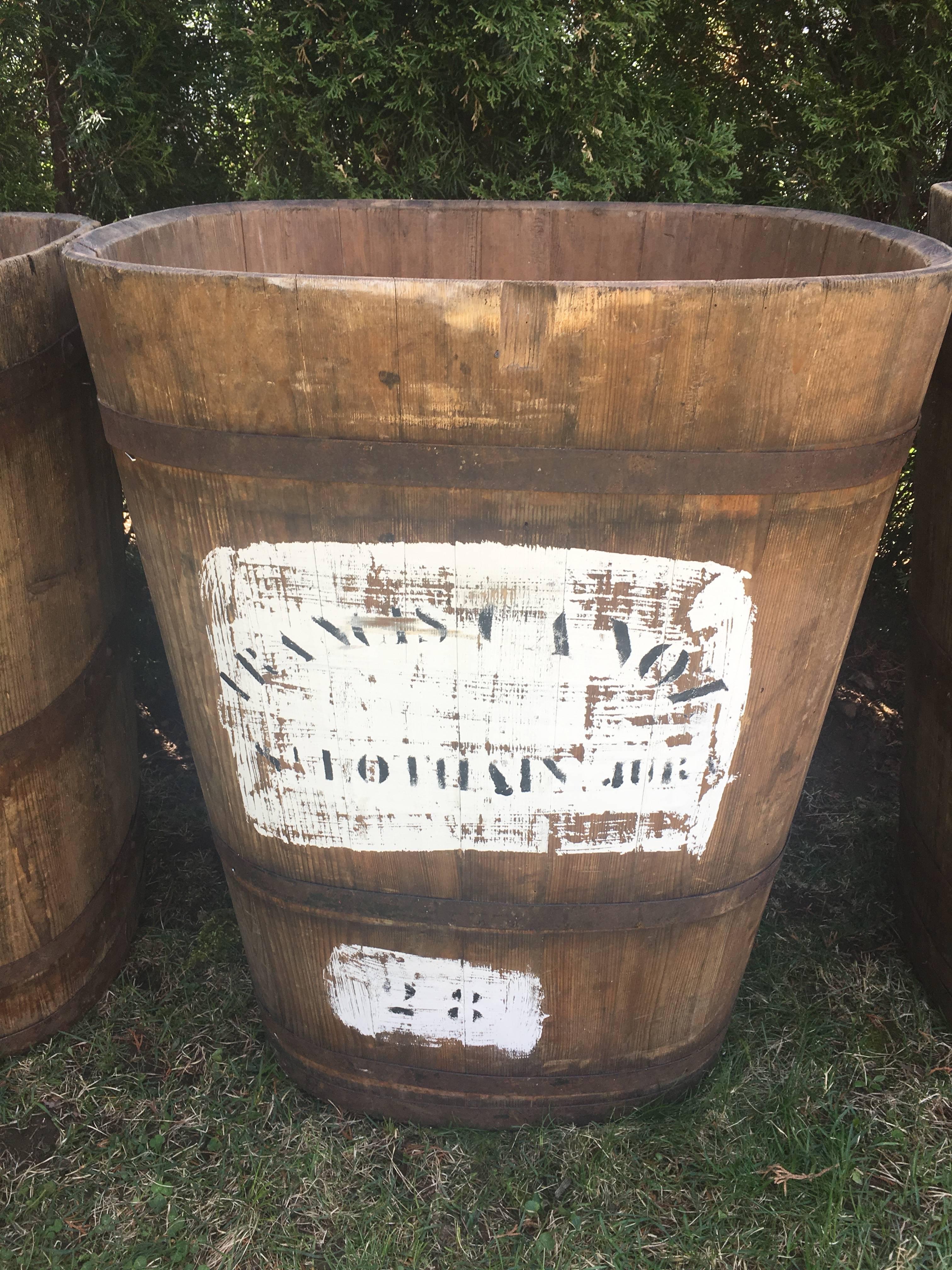 In addition to the four pairs of very large wooden tubs that were used as Master Collection Vessels for the grape harvest in Alsace, we also bought a single one that is features later stencilling. The large stencil is undecipherable, but this tub