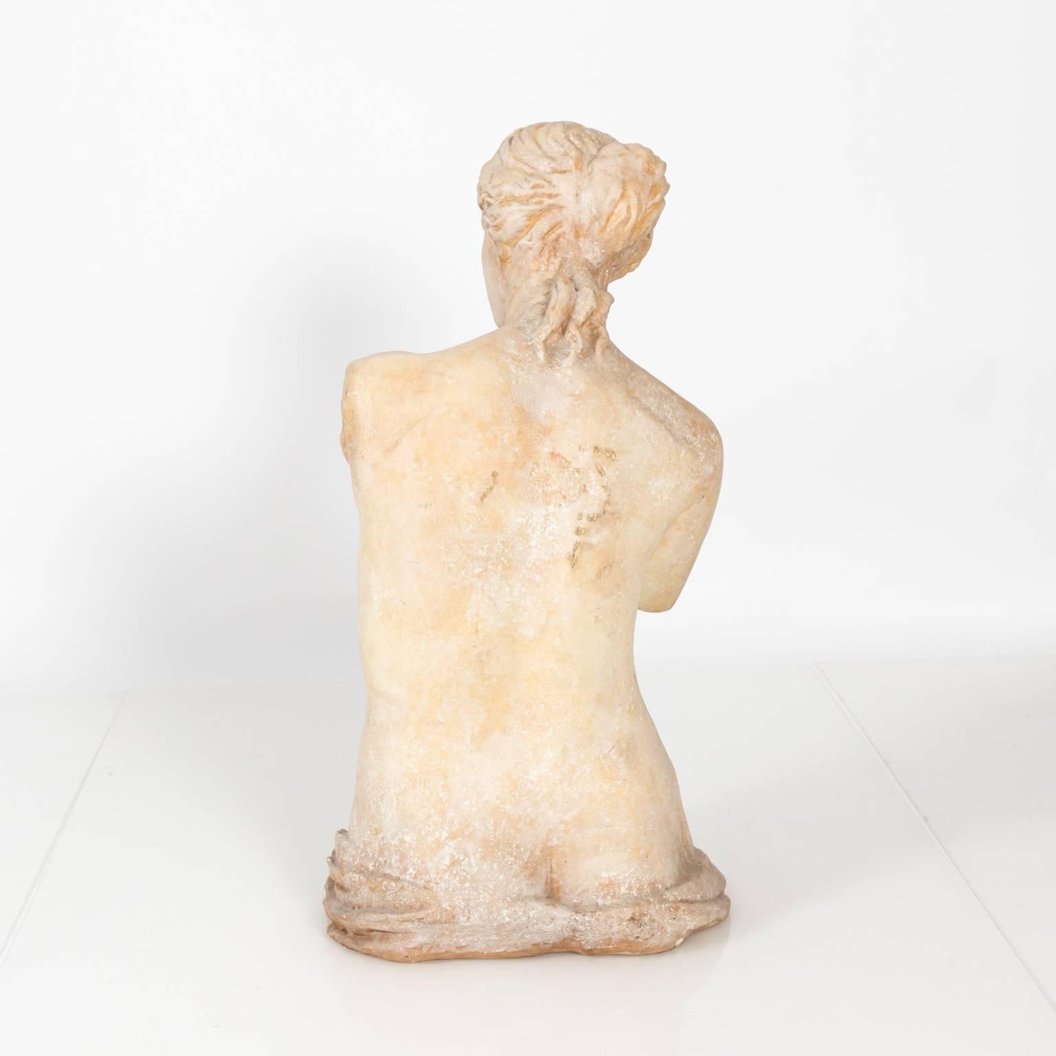 Large Stone Venus De Milo Statue, circa 20th Century For Sale 4