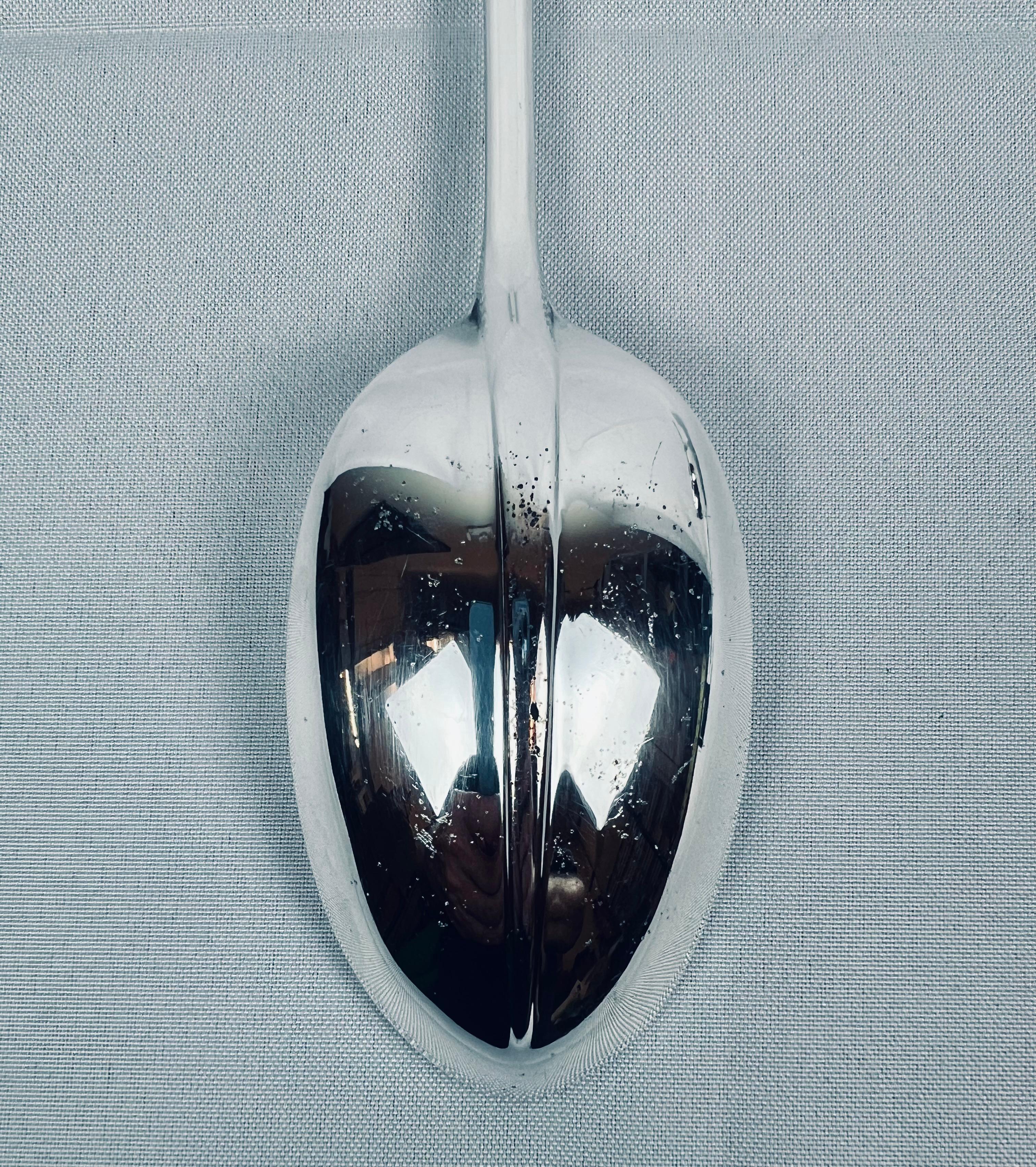 Plaqué argent Grande cuillère à écouper par Gerity en métal argenté 13 po. en vente