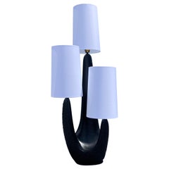 Large Stunning Organic 1950s Table Lamp by Plasto, USA