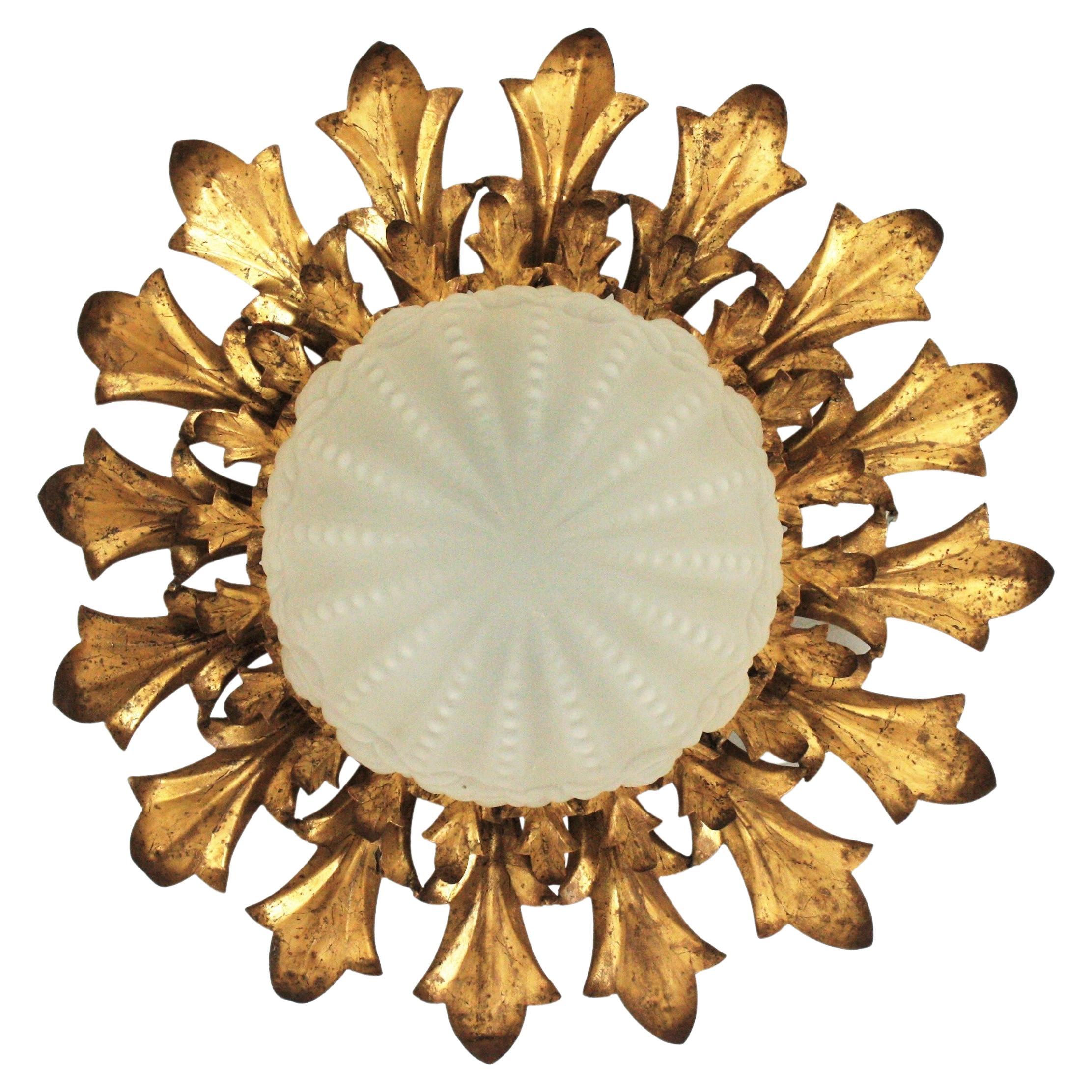 Eye catching sunburst light fixture with foliage design and frosted glass globe shade, Spain, 1950s
This ceiling flush mount has two layers of leaves in gilt iron surrounding a central frosted glass globe shaped shade with textured details. It shows
