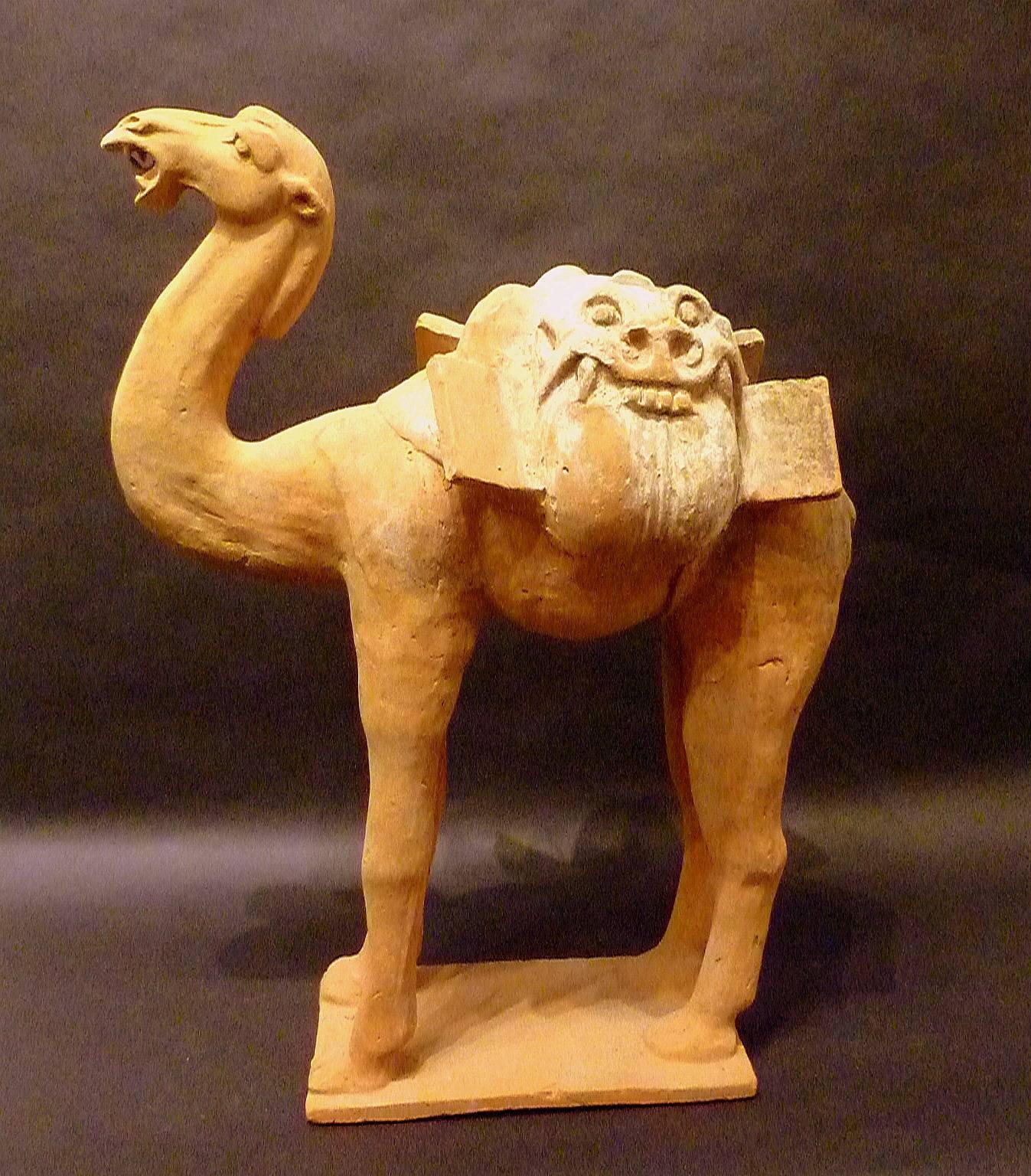 doreen the camel