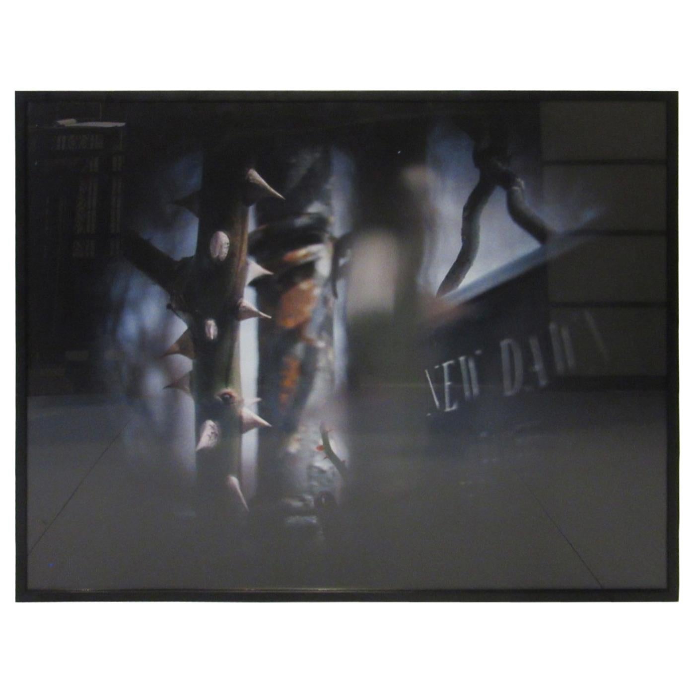 Large Susan Wides New York Photographer Garden Series  "New Dawn"