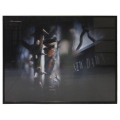 Large Susan Wides New York Photographer Garden Series  "New Dawn"