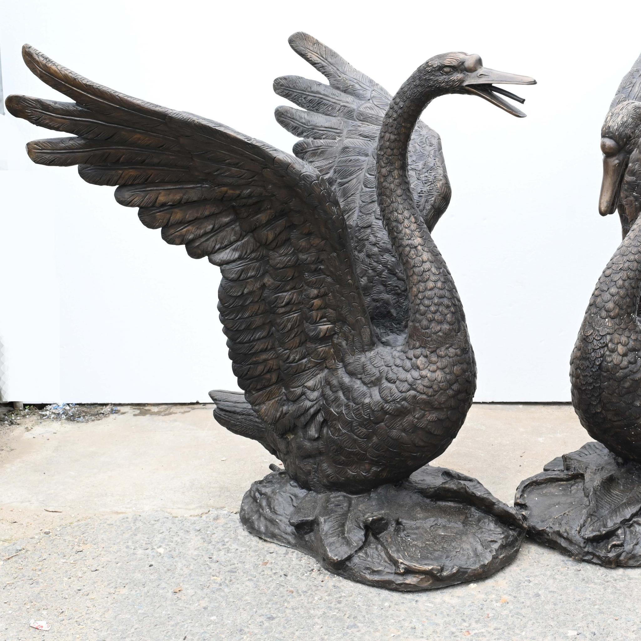Large Swan Statue - Royal Bird Garden Casting 5