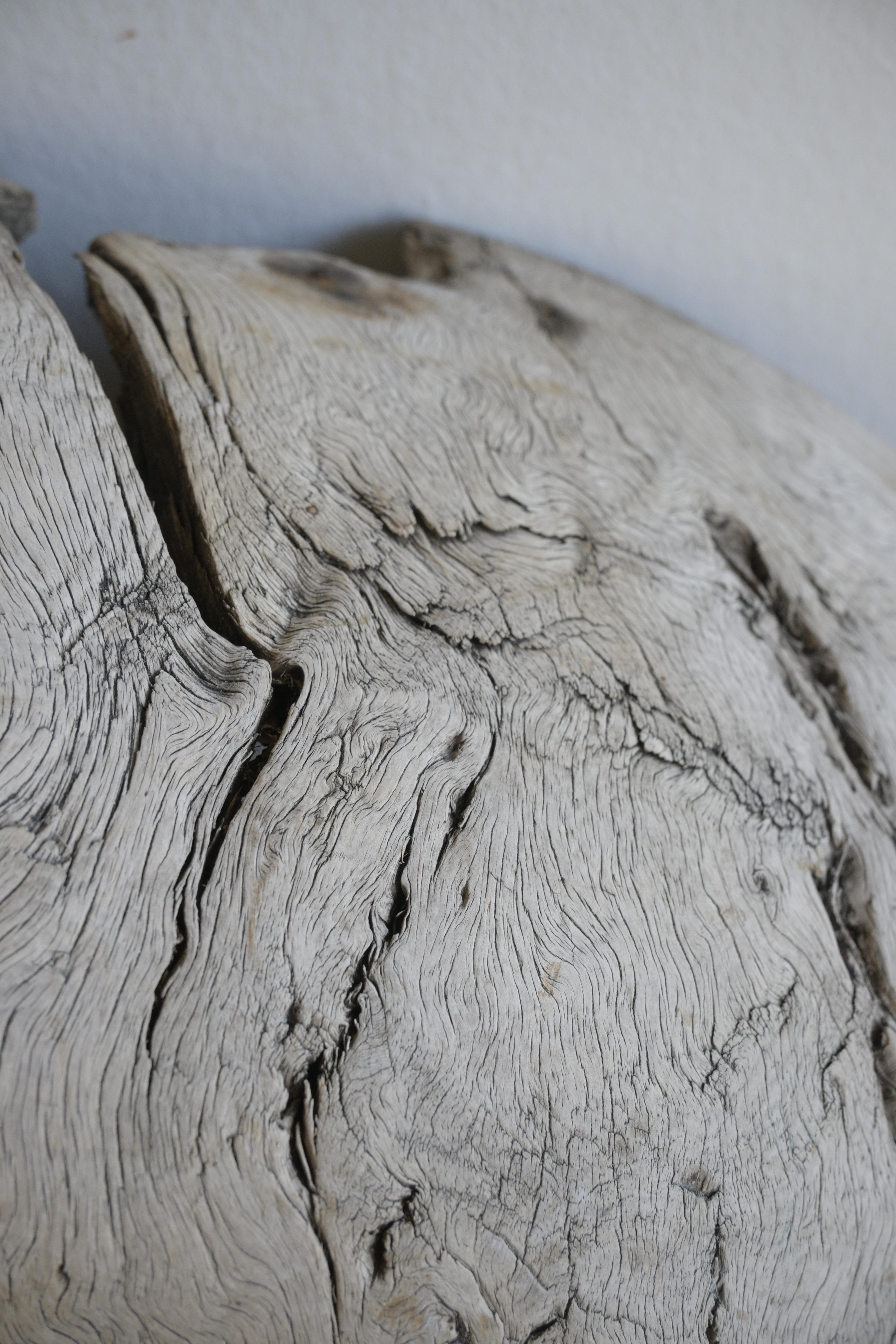 Large Swedish Root Bowl ca 1730 For Sale 3