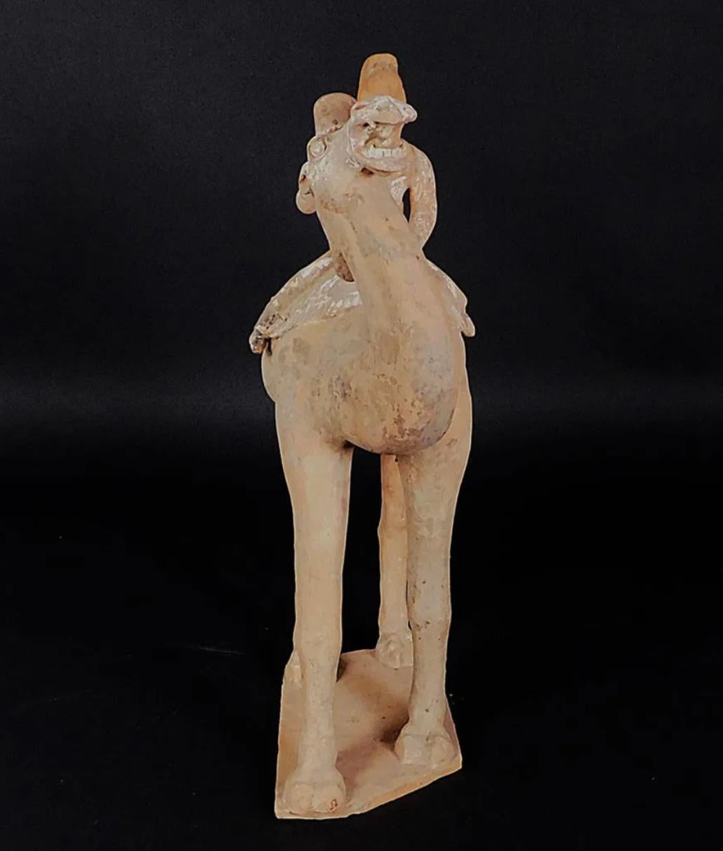 Grande sculpture en poterie de la dynastie Tang Dynasty Bactrian Camel and Rider en vente 5