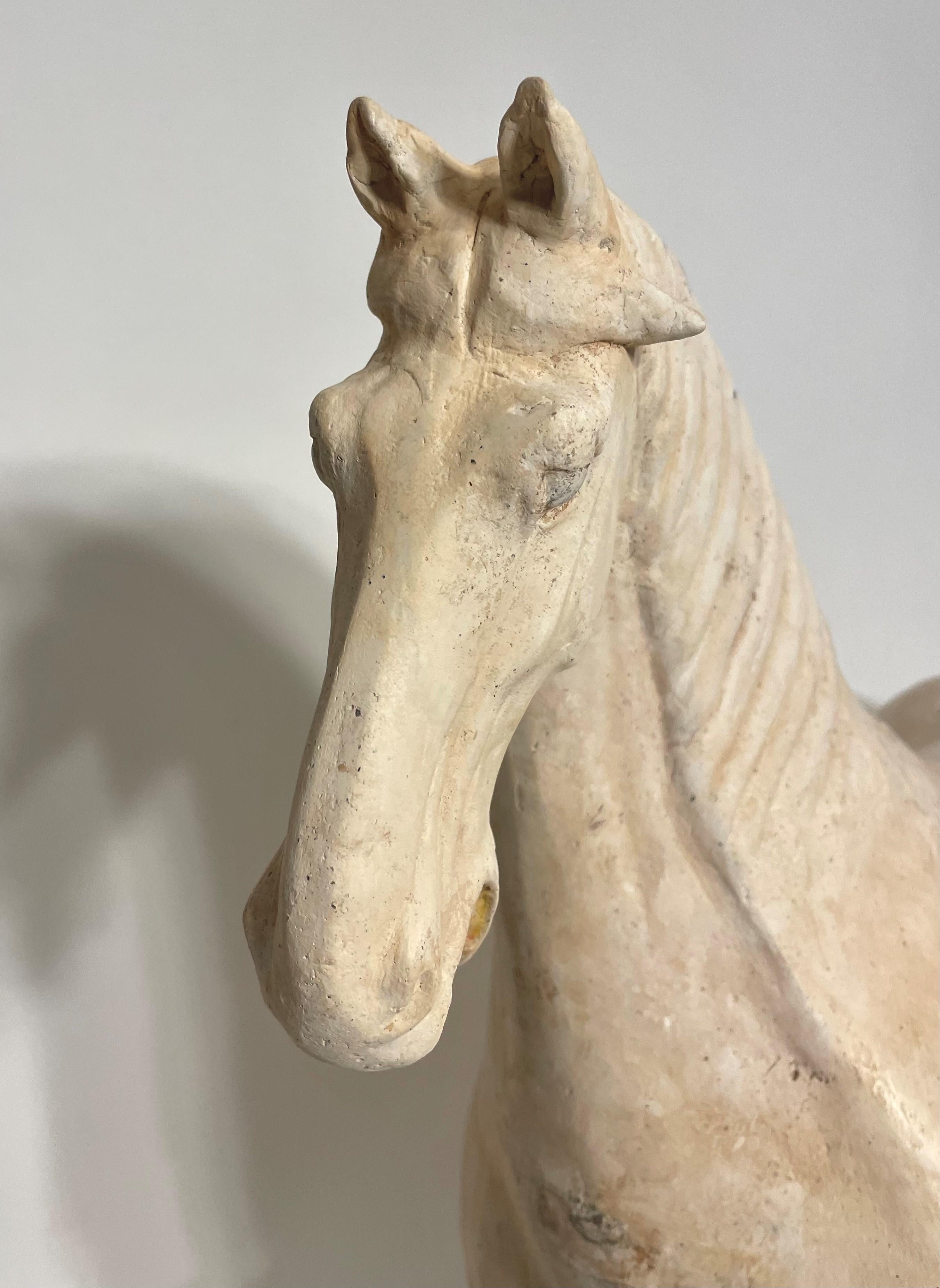 Large Tang Dynasty Prancing Horse with Oxford TL Test In Good Condition For Sale In Atlanta, GA