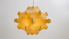 Large Taraxacum - 1960 version - by Achille & Pier Giacomo Castiglioni fo