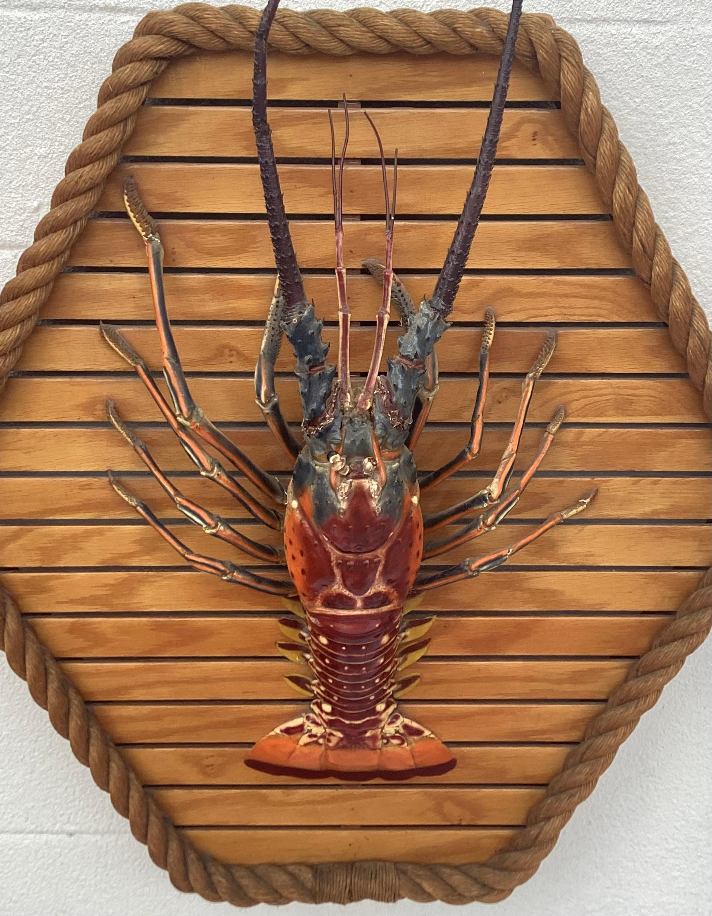 Vintage taxidermy whole lobster mounted on wood and rope frame in a nautical style. The lobster is skillfully prepared with original taxidermist card on back side of hexagon shaped mounting. The wooden mount is trimmed in thick tightly wound rope.