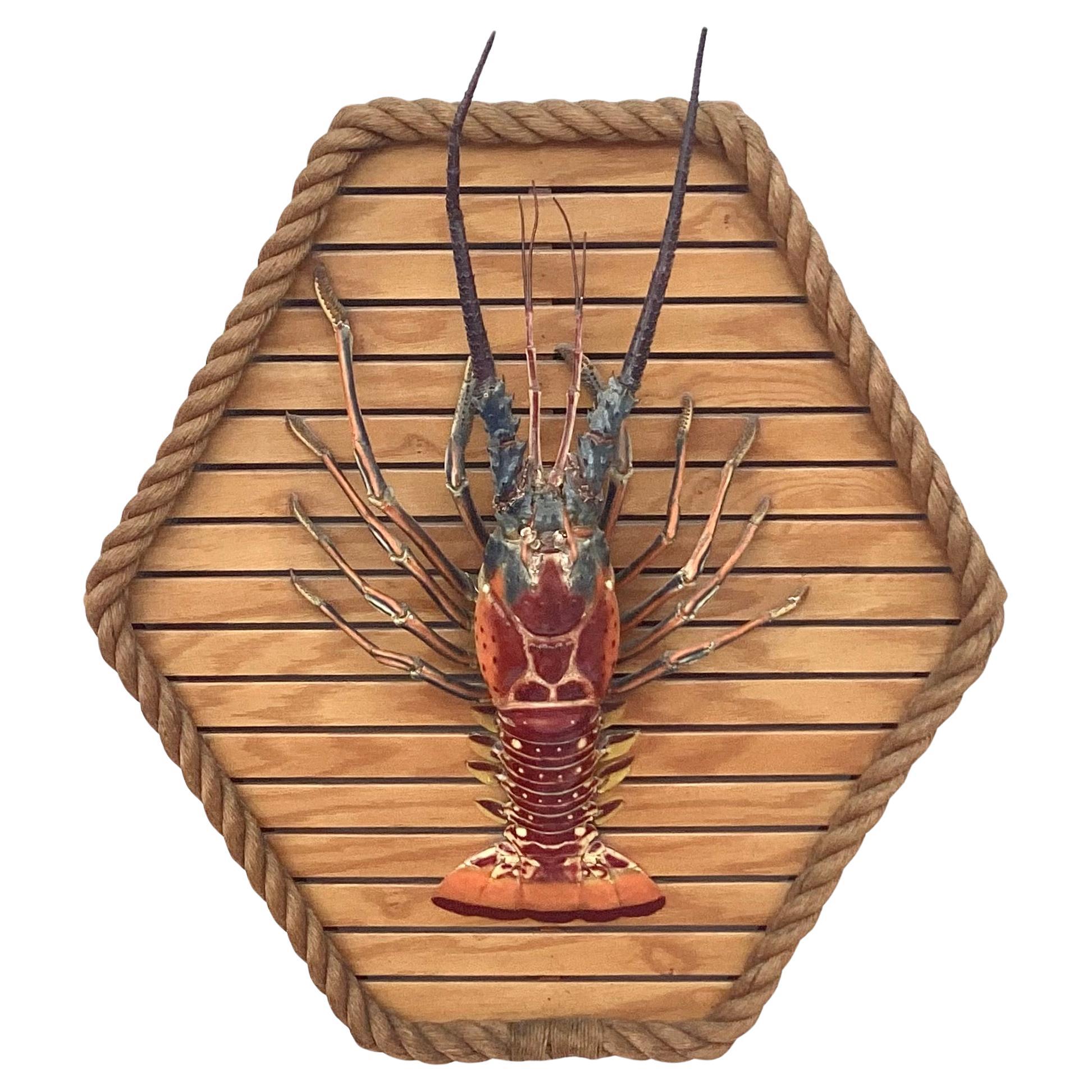 Large Taxidermy Lobster Mounted On Hexagon Shaped Wood and Rope Frame For Sale 1