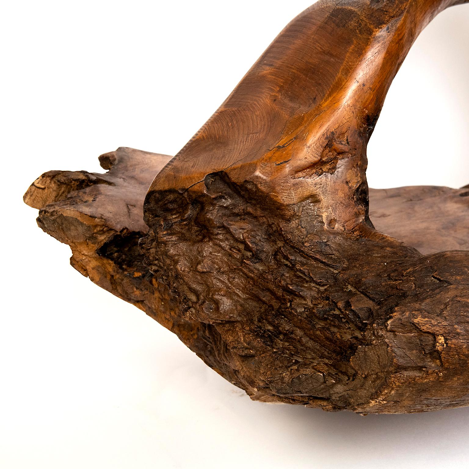 This large contemporary hand carved organic vessel is perfect as a table centrepiece. It has been sculpted from a single piece of teakwood root and hand polished with a rich wax.