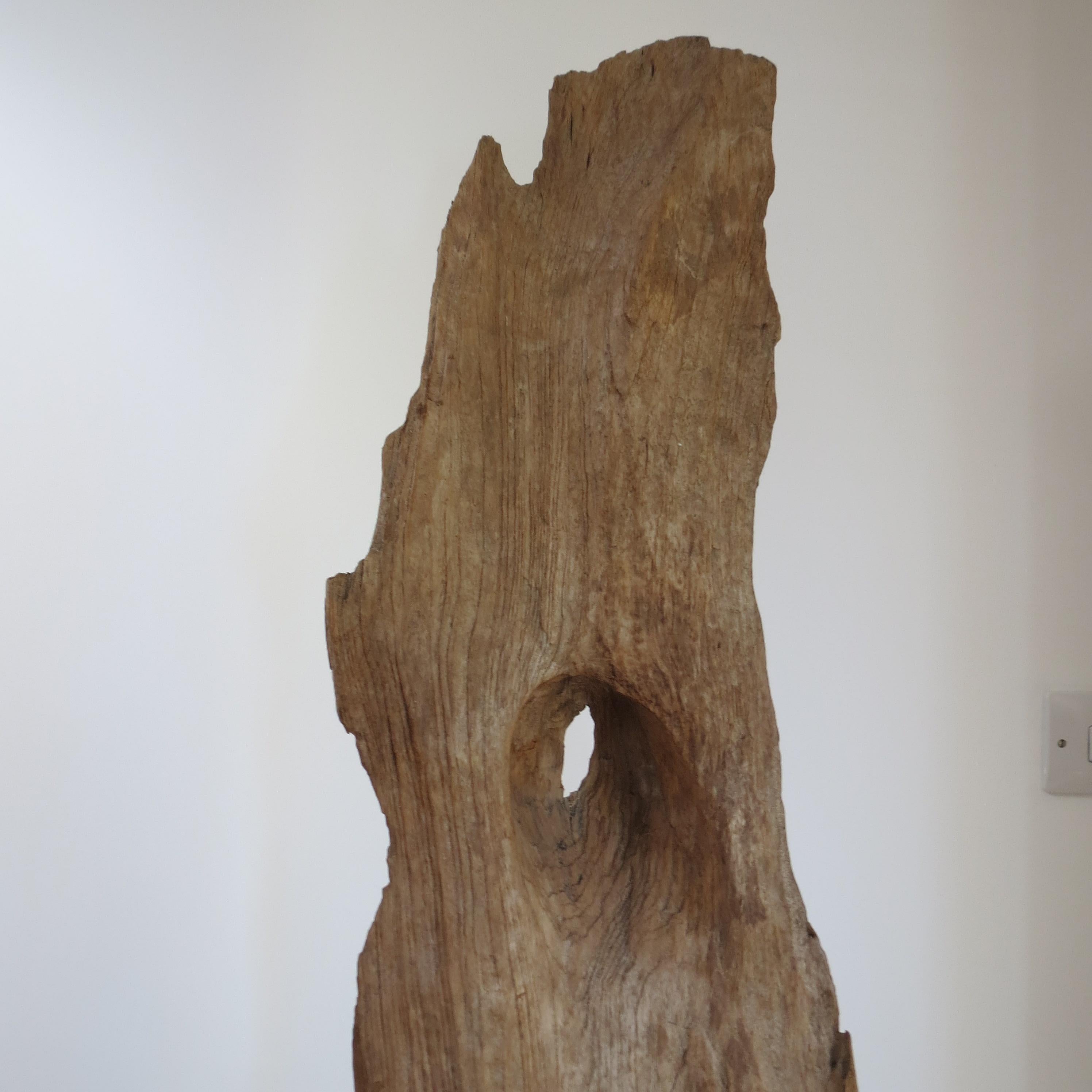 Grande sculpture en bois de teck naturel Forme organique 1970 en vente 3