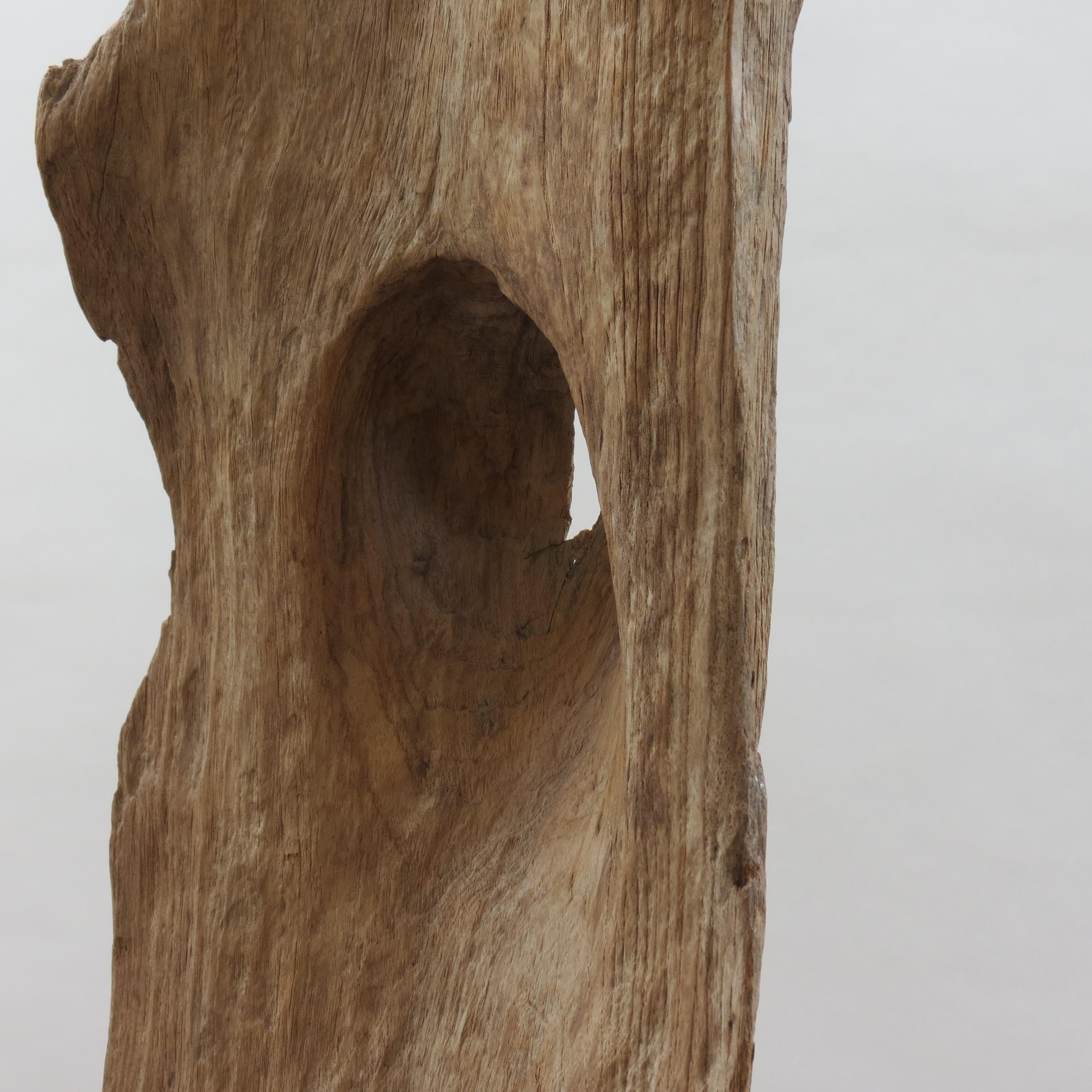Large Teak Wood Natural Sculpture Organic Form 1970 For Sale 4