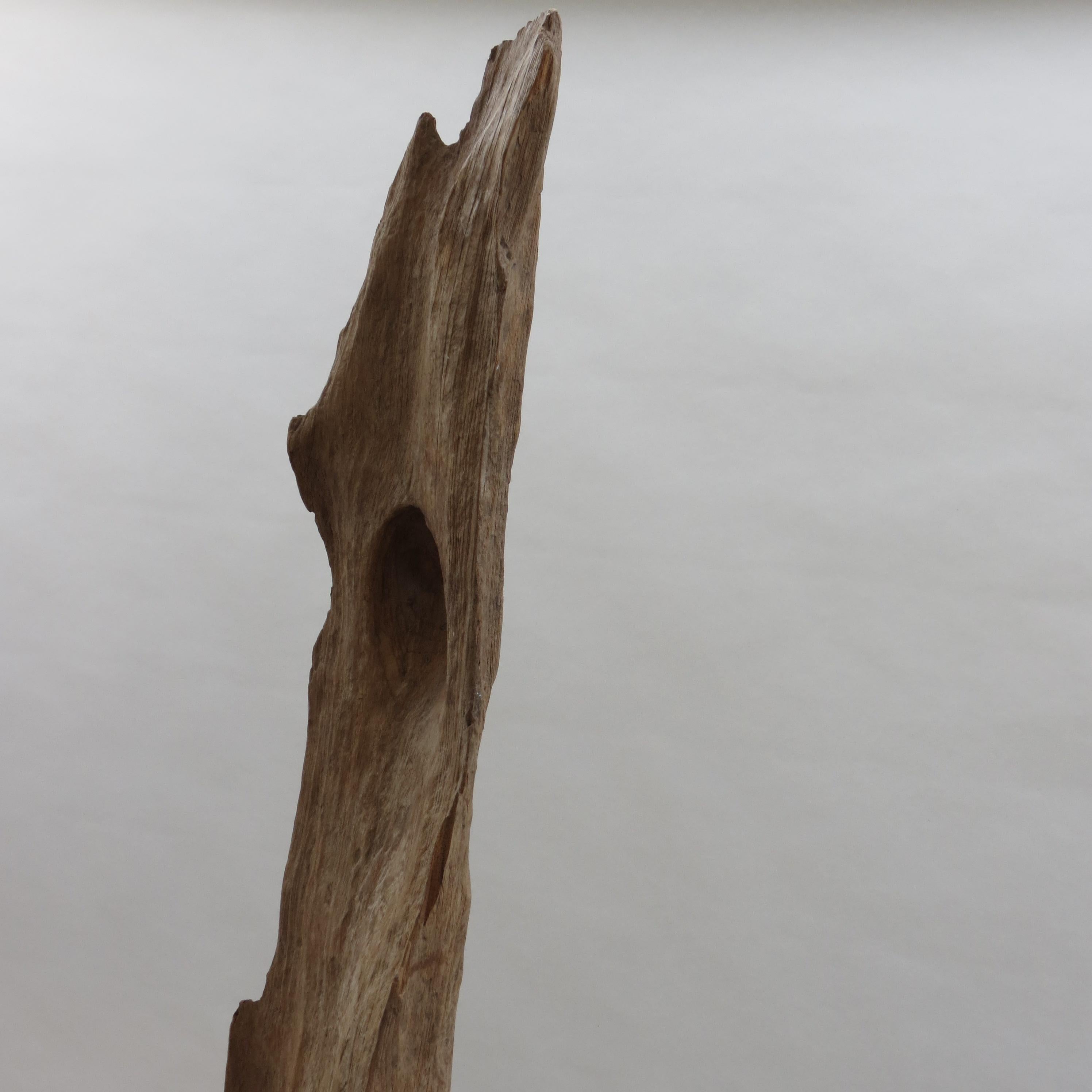 Large Teak Wood Natural Sculpture Organic Form 1970 For Sale 5