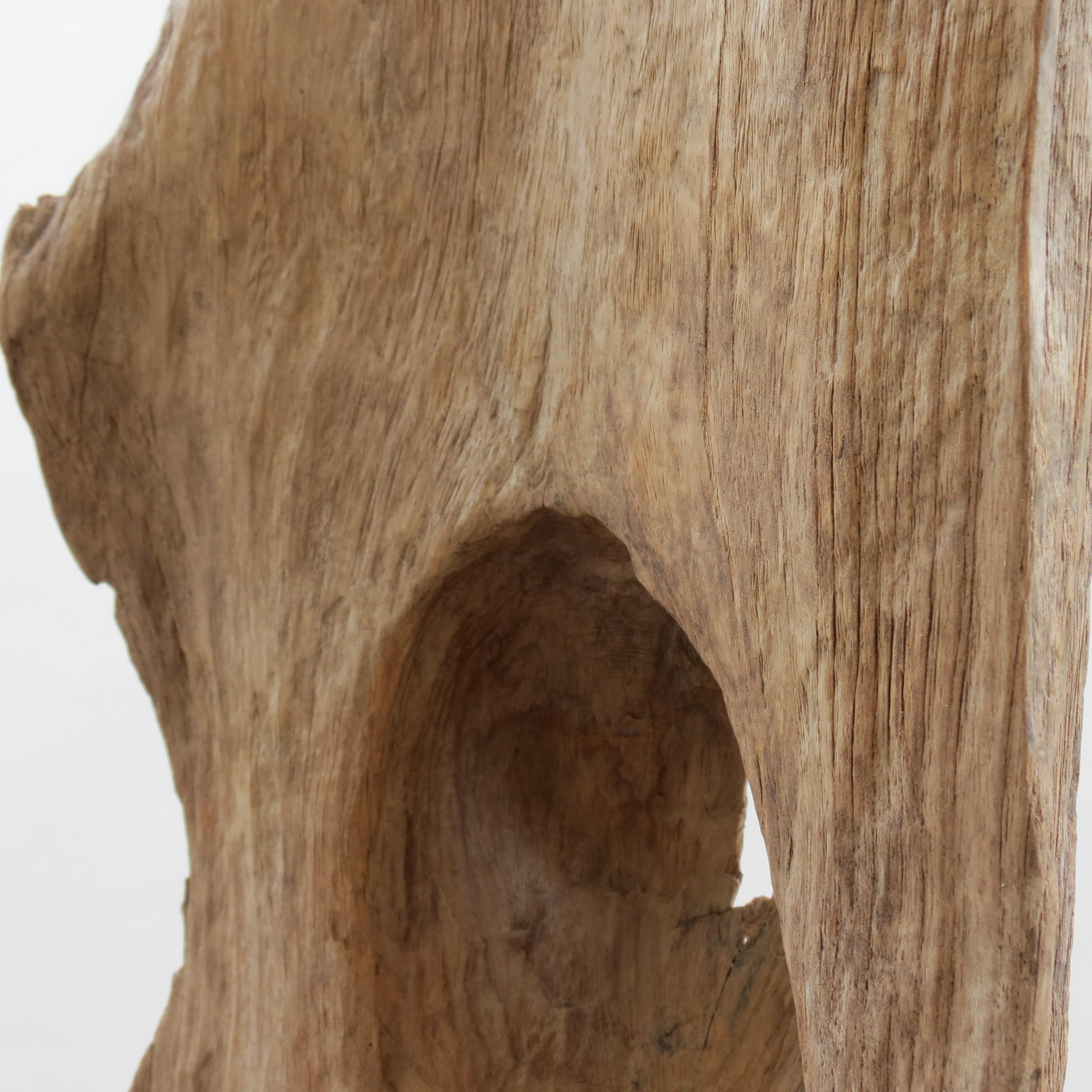 Large Teak Wood Natural Sculpture Organic Form 1970 For Sale 6